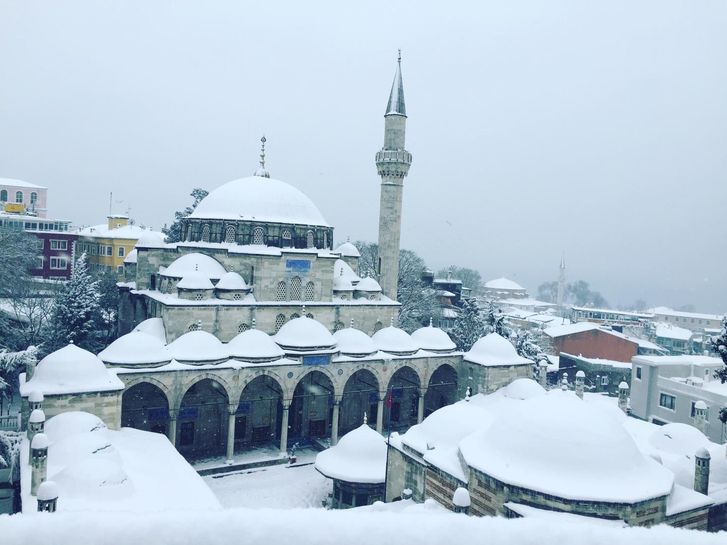 Sultan Palace foto 15