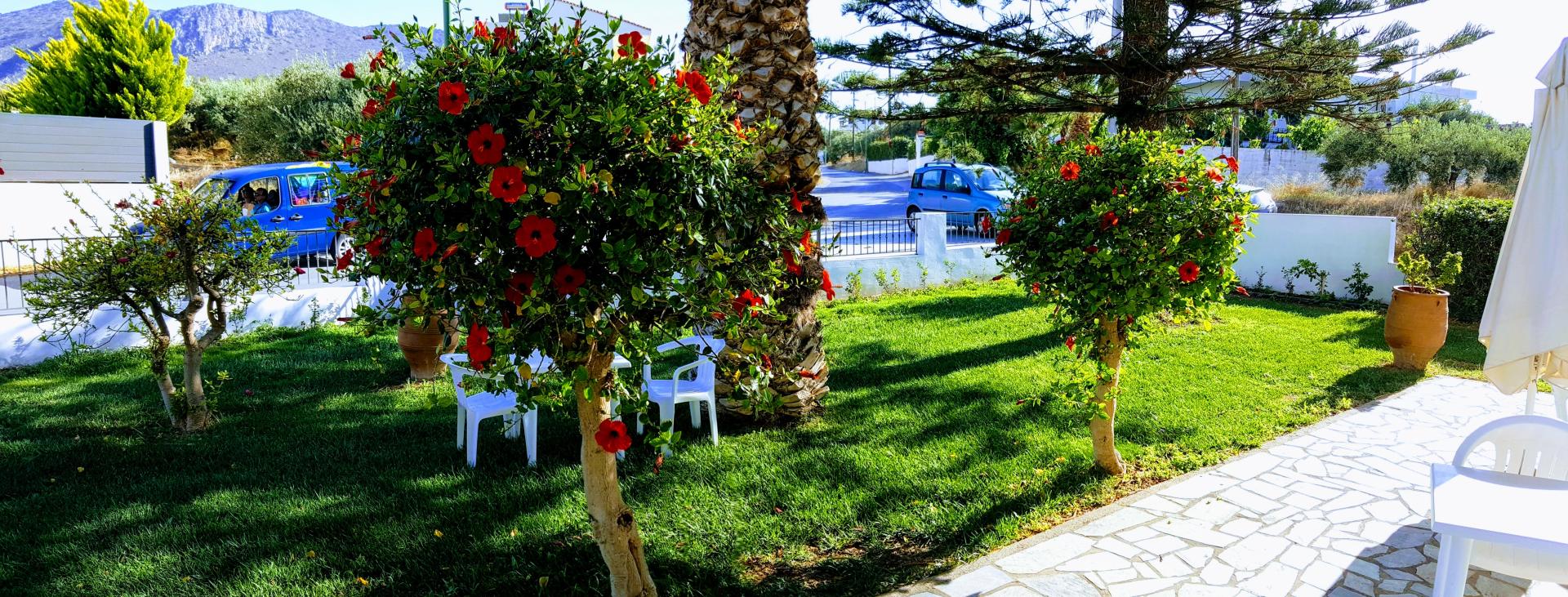 Mastorakis Hotel & Studios foto 13