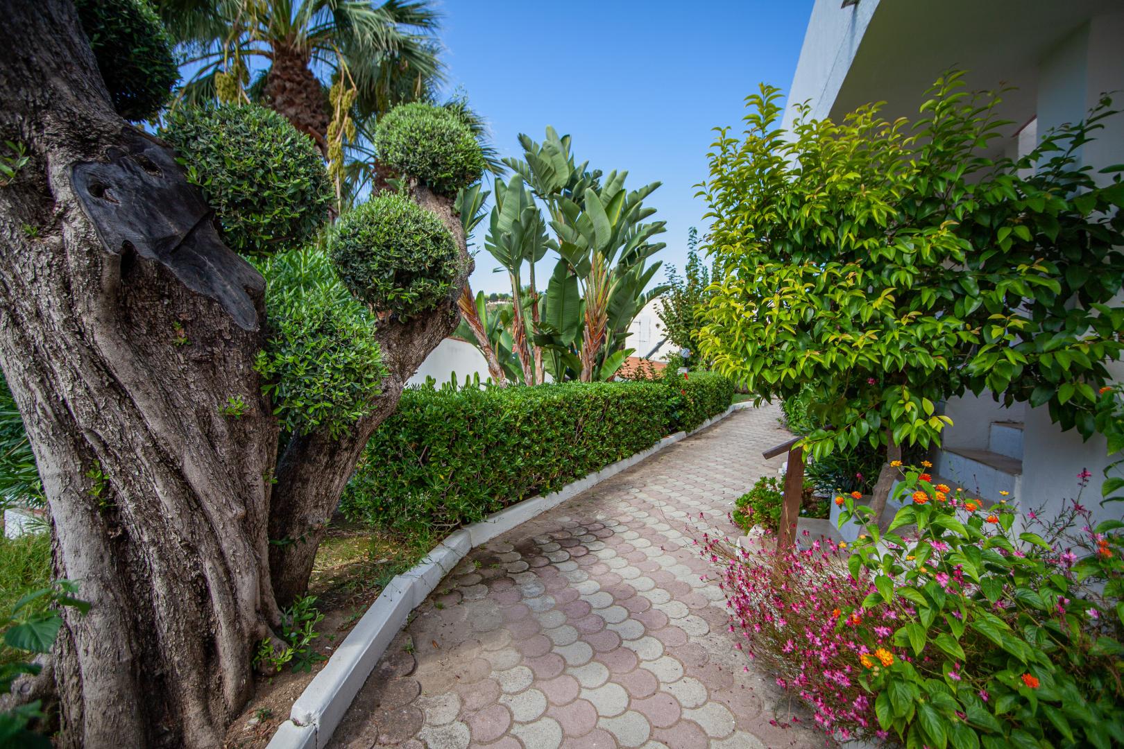 Villaggio Baia d'Ercole foto 34