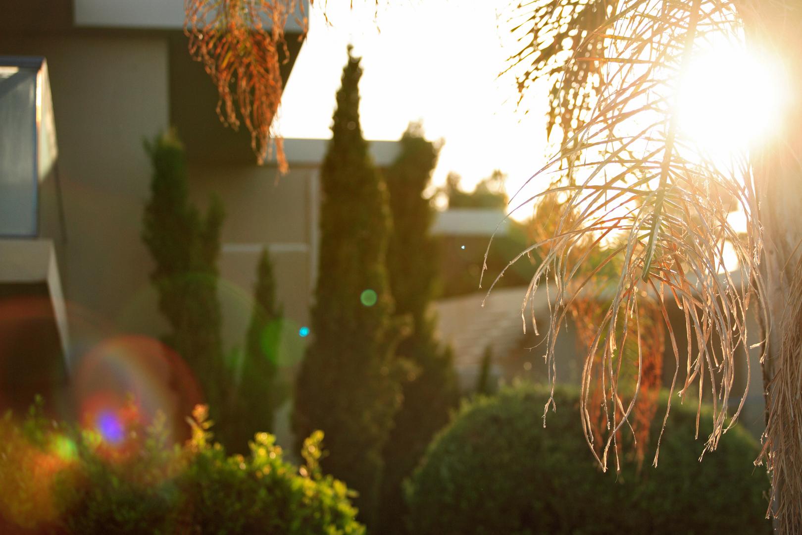 Sikyon Coast Hotel & Resort foto 40