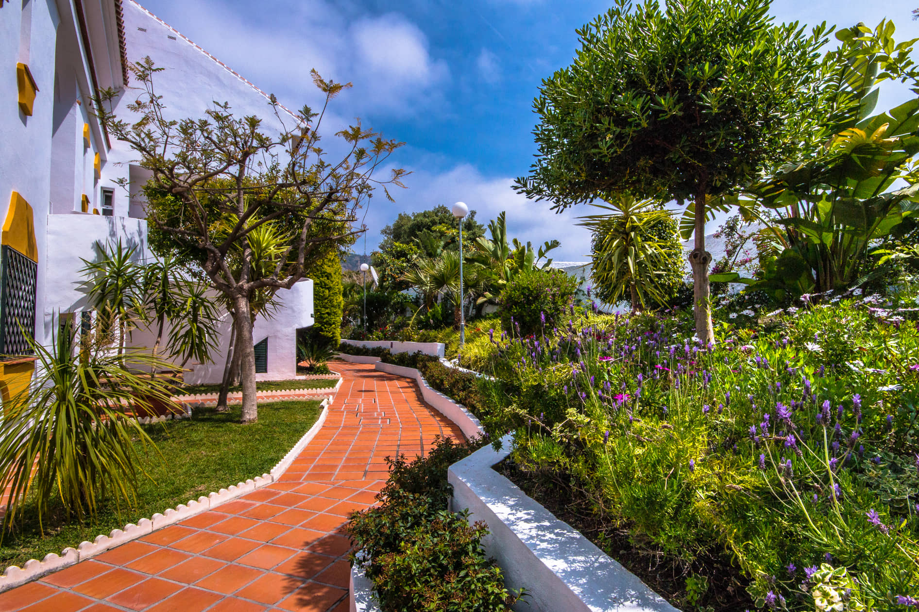 Las Rosas de Capistrano image 2