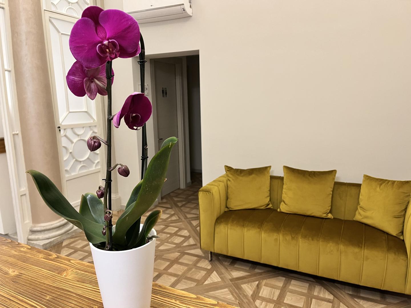 Corte dei Sogni Boutique Hotel & Spa foto 29