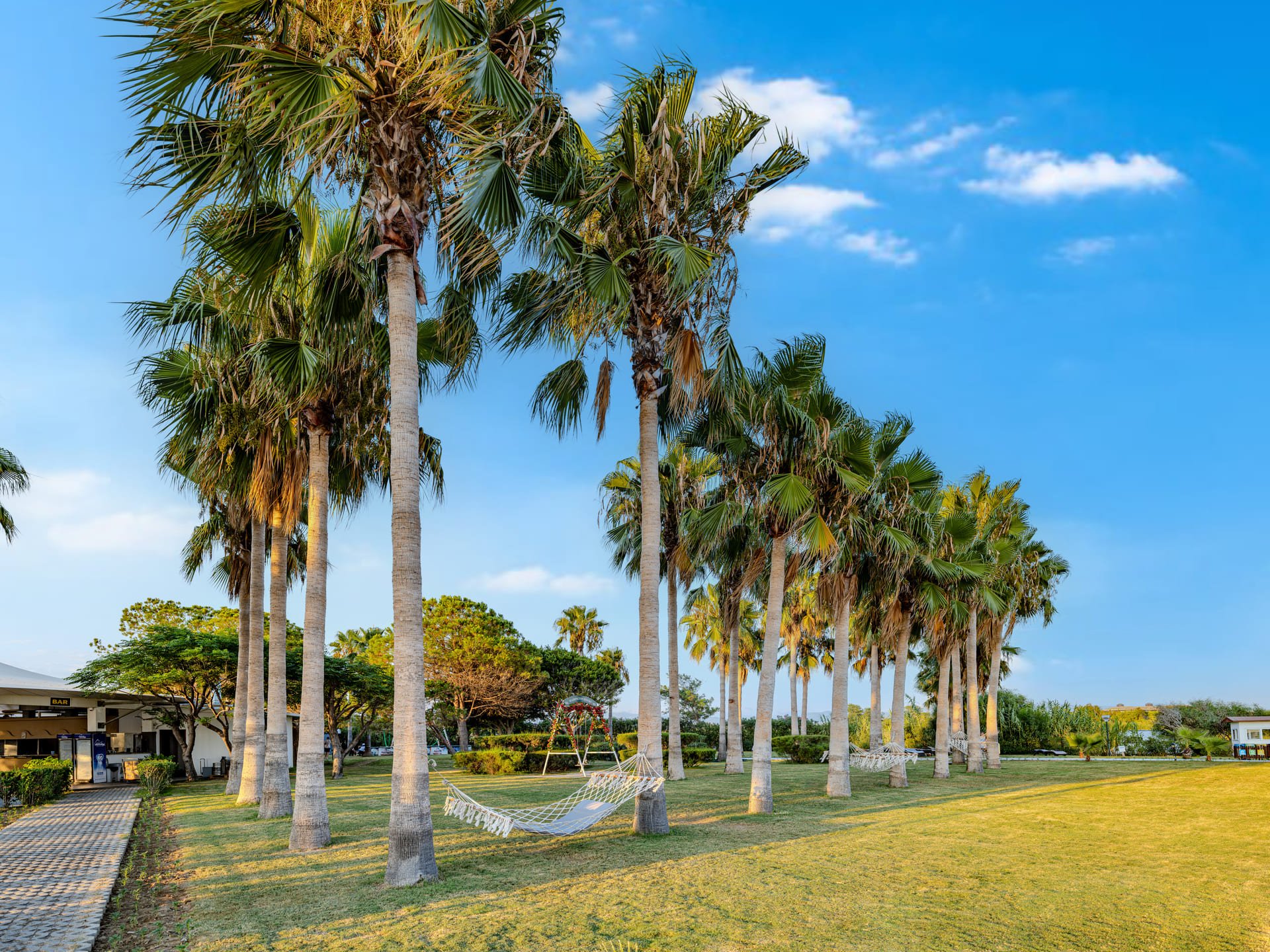 Washington Resort Hotel & SPA foto 32