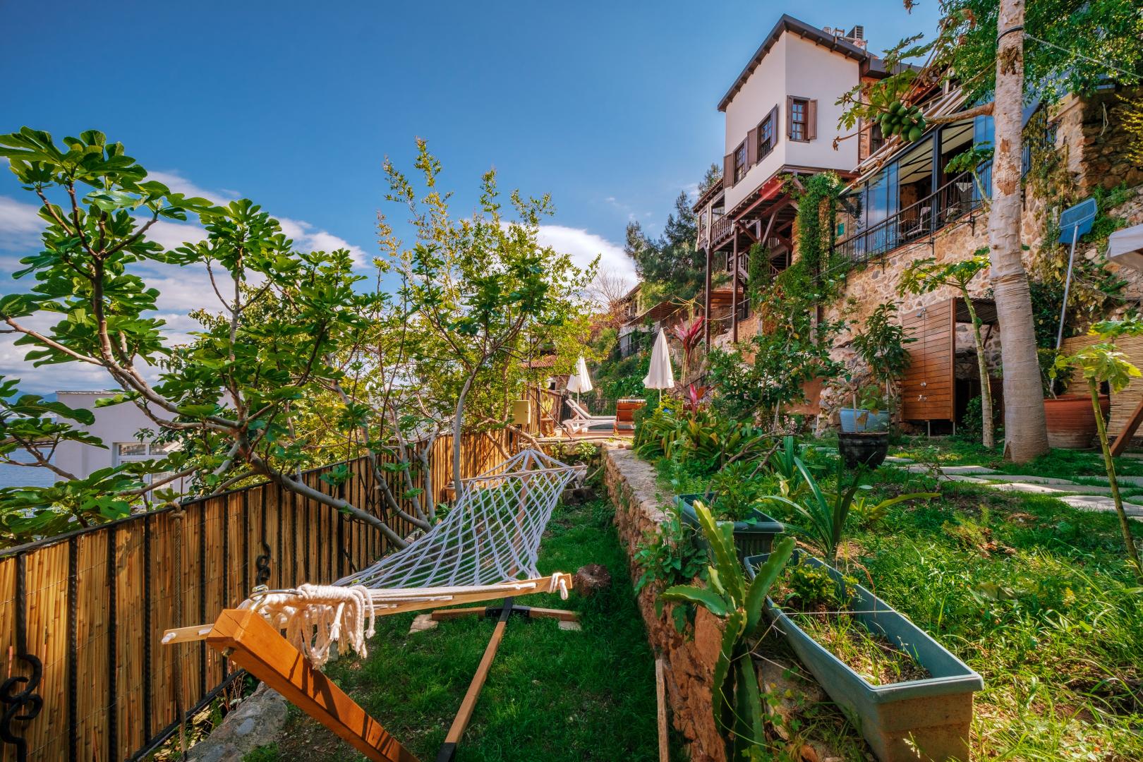 Villa Turka foto 13