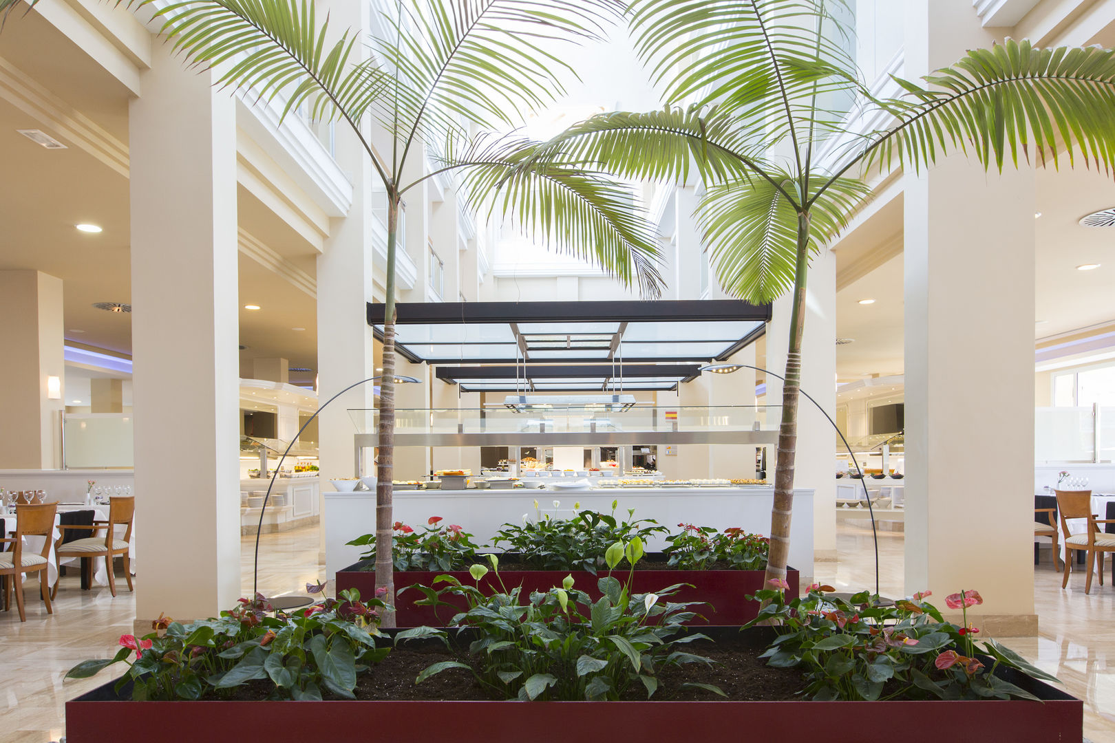 Hipotels Playa la Barrosa image 2