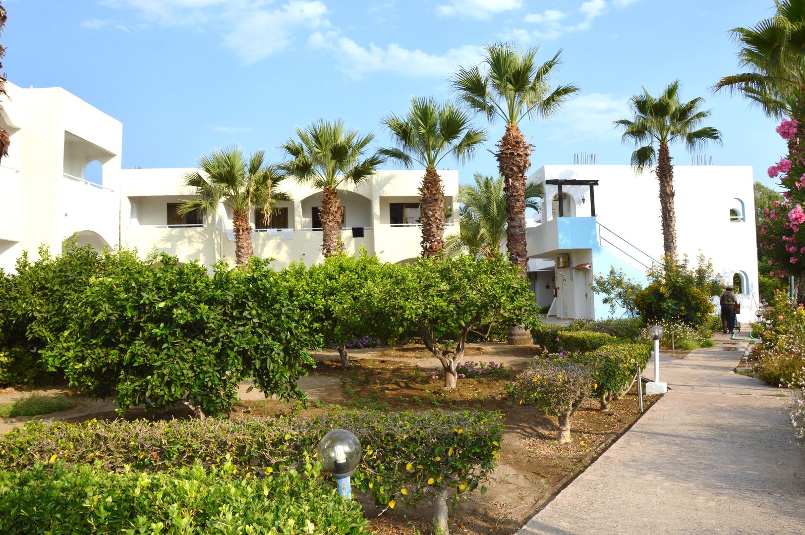 Muses Hotel foto 15
