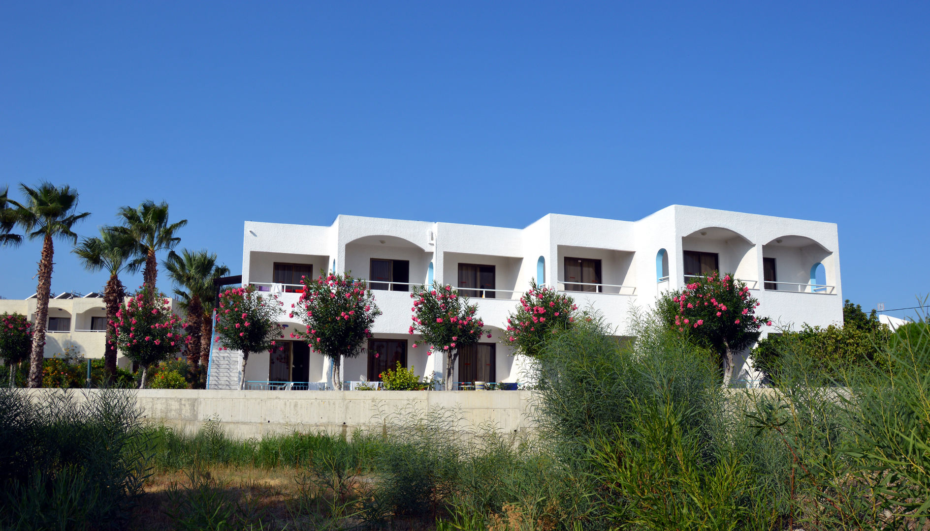 Muses Hotel foto 6