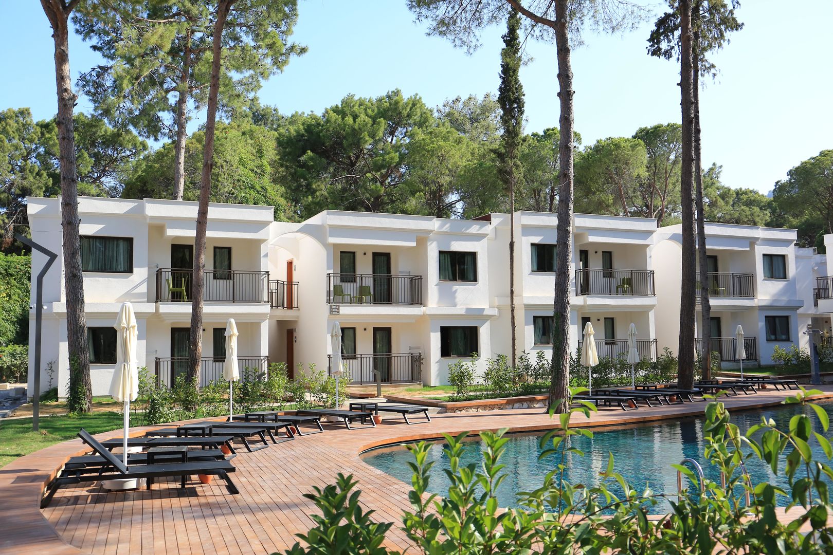 Siu Collection image 1