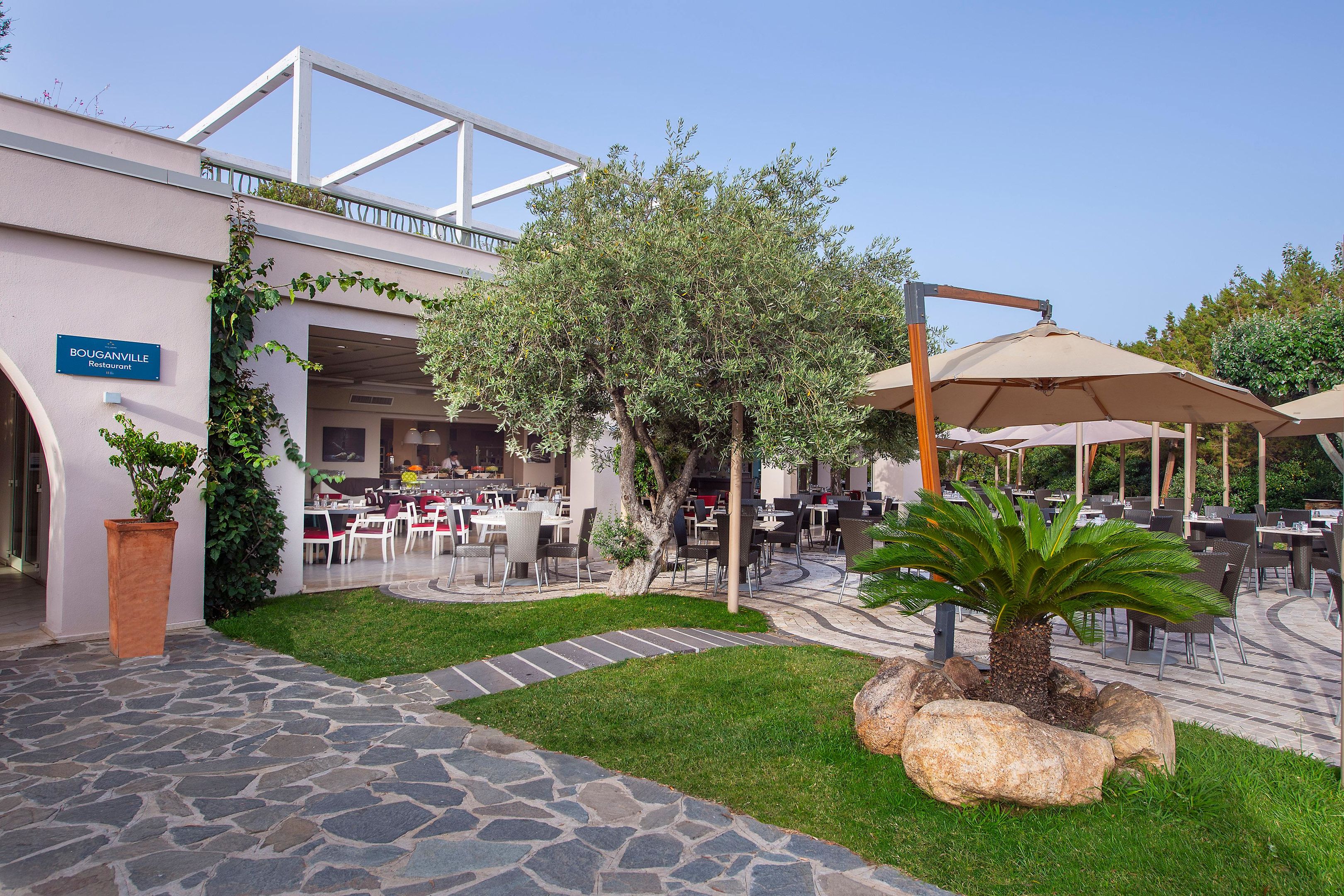 Tropische tuin met palmbomen — Hotel Village