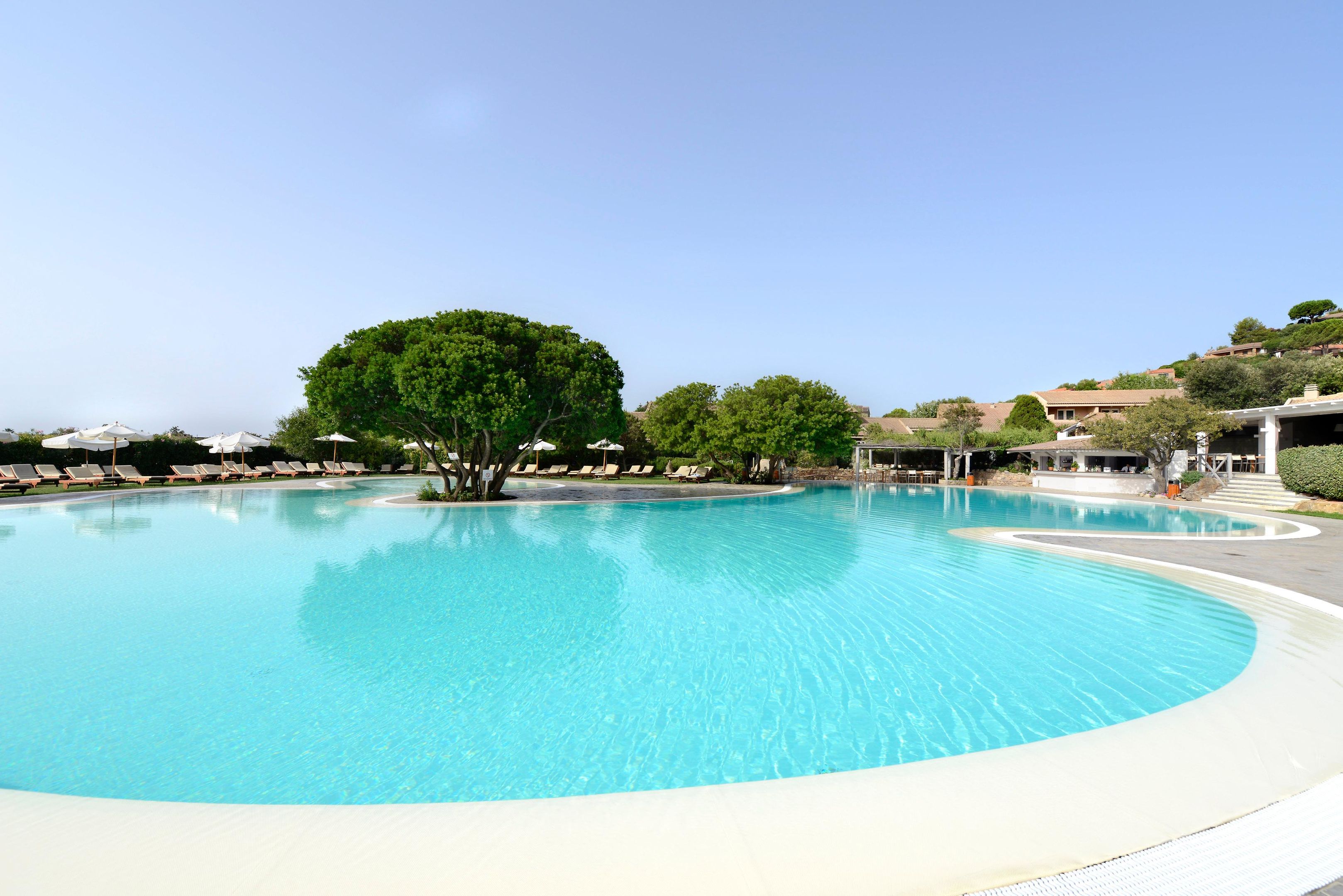 Zwembad omringd door palmbomen — Hotel Village