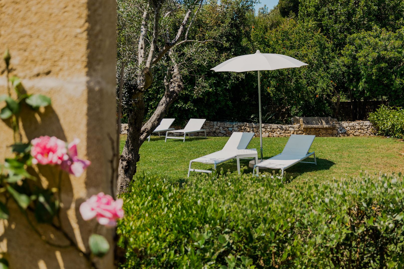 Marenea Suite Hotel foto 16