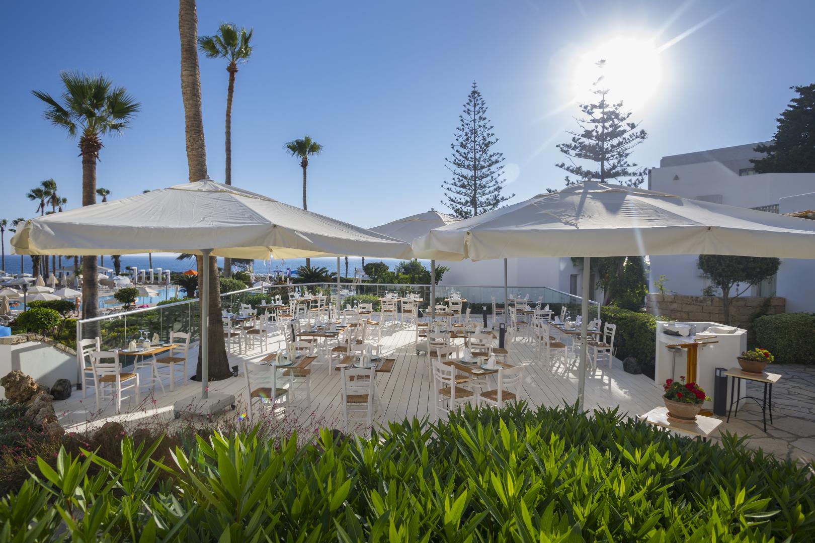 Leonardo Plaza Cypria Maris Beach Hotel & Spa foto 39