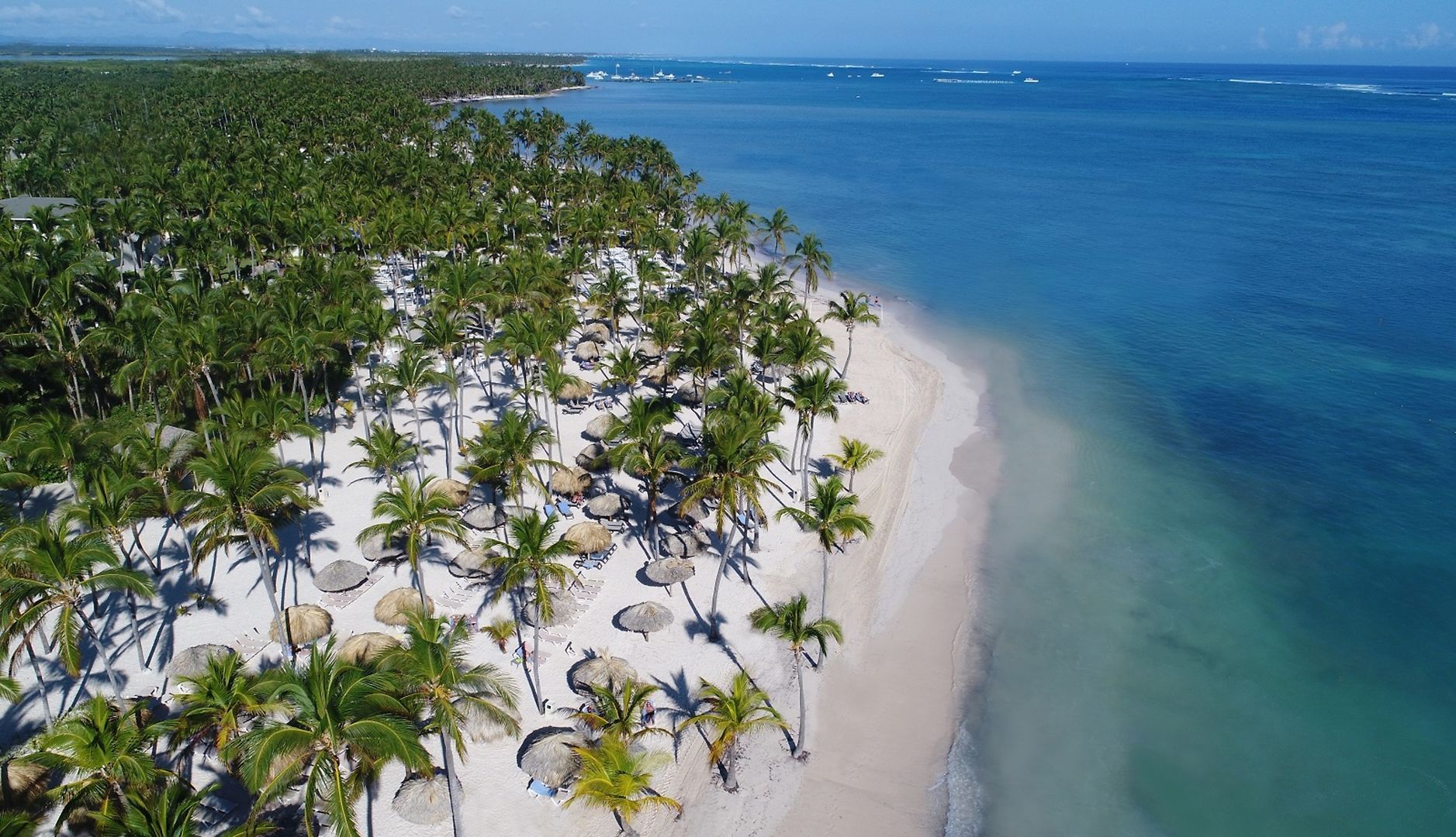 Catalonia Bavaro foto 17