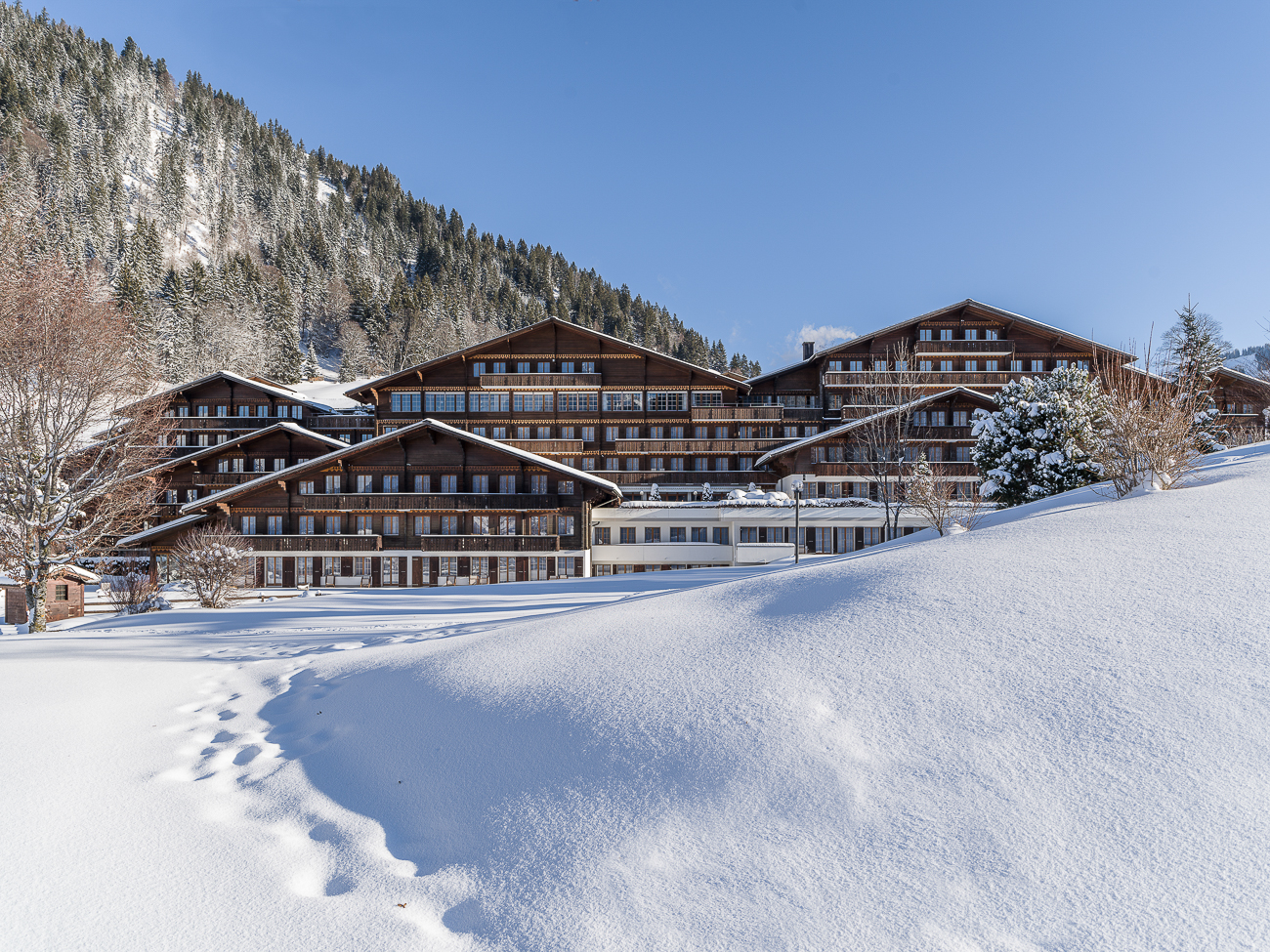 HUUS Hotel Gstaad foto 23