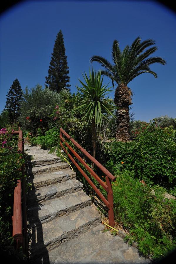 Athina Villas in Plaka - foto 3