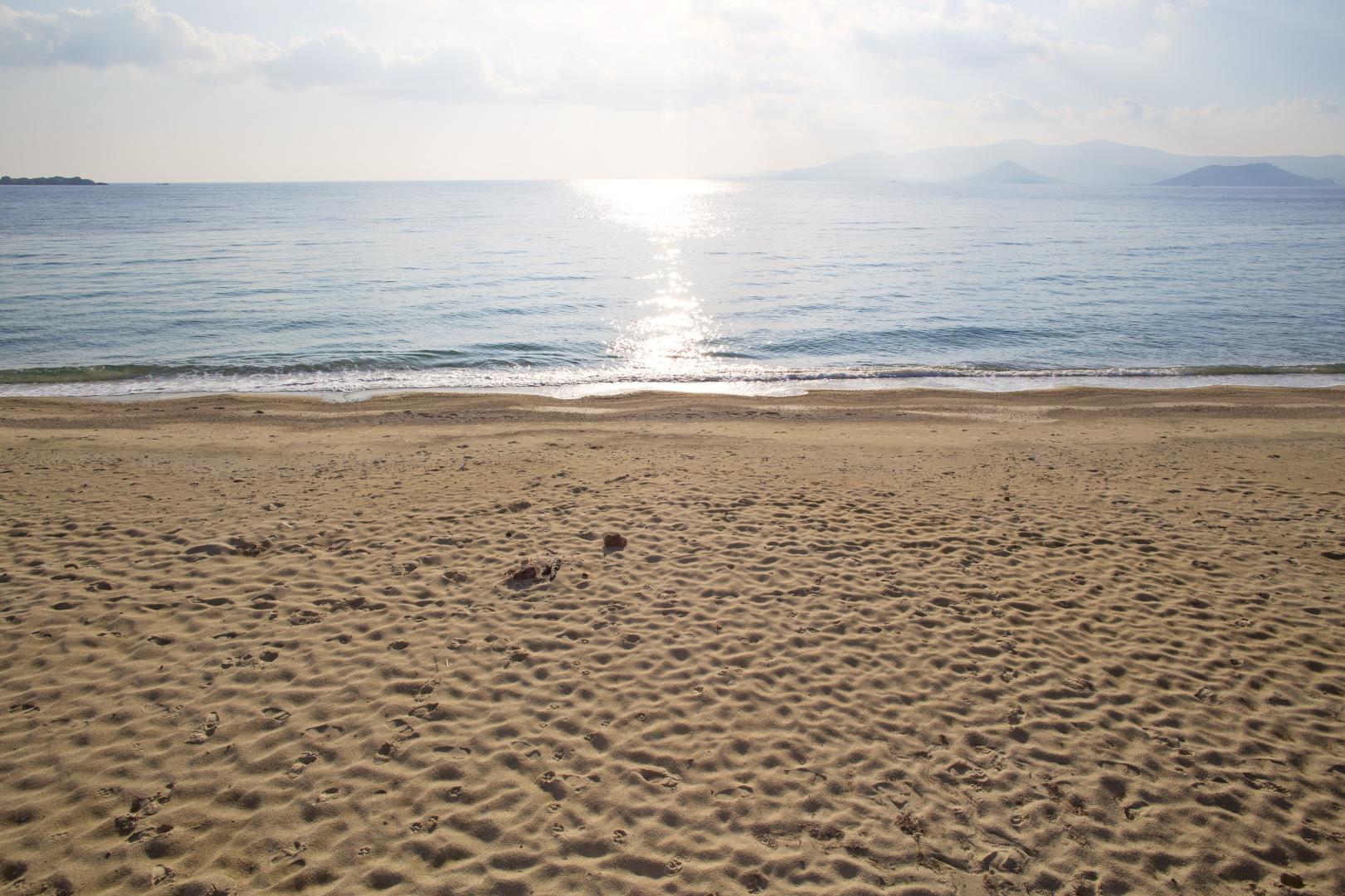 Marine Dream foto 25