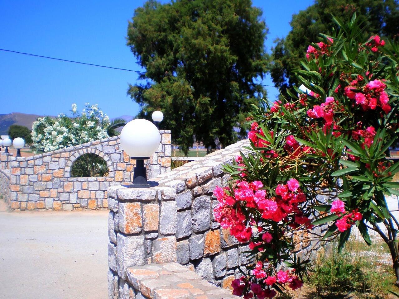 Galini Beach foto 23