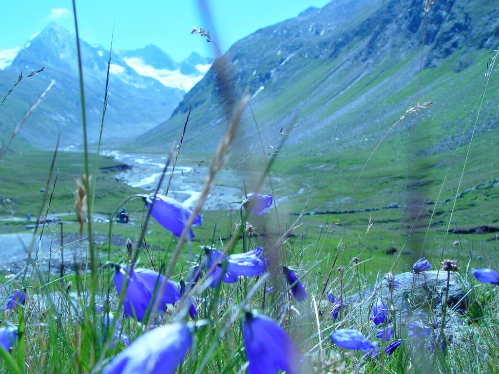 Erhart foto 10