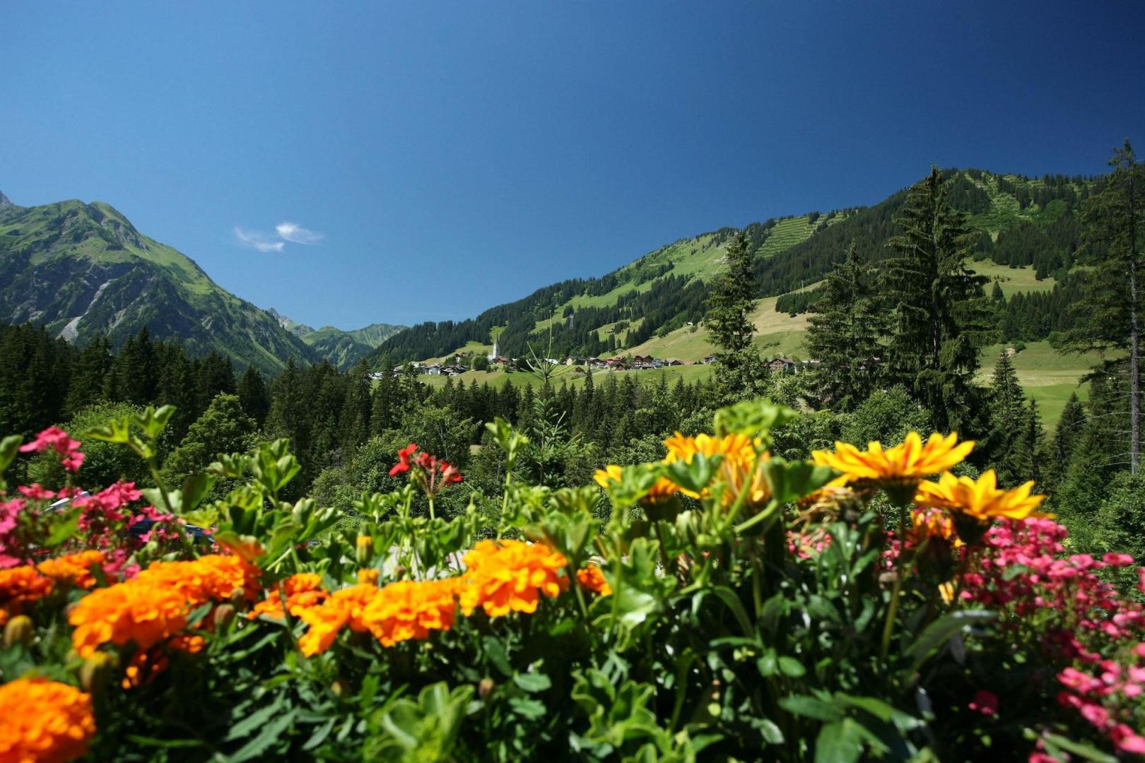 IFA Alpenhof Wildental foto 11
