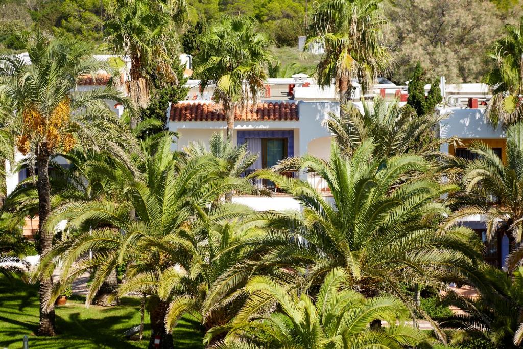 Insotel Hotel Formentera Playa foto 34