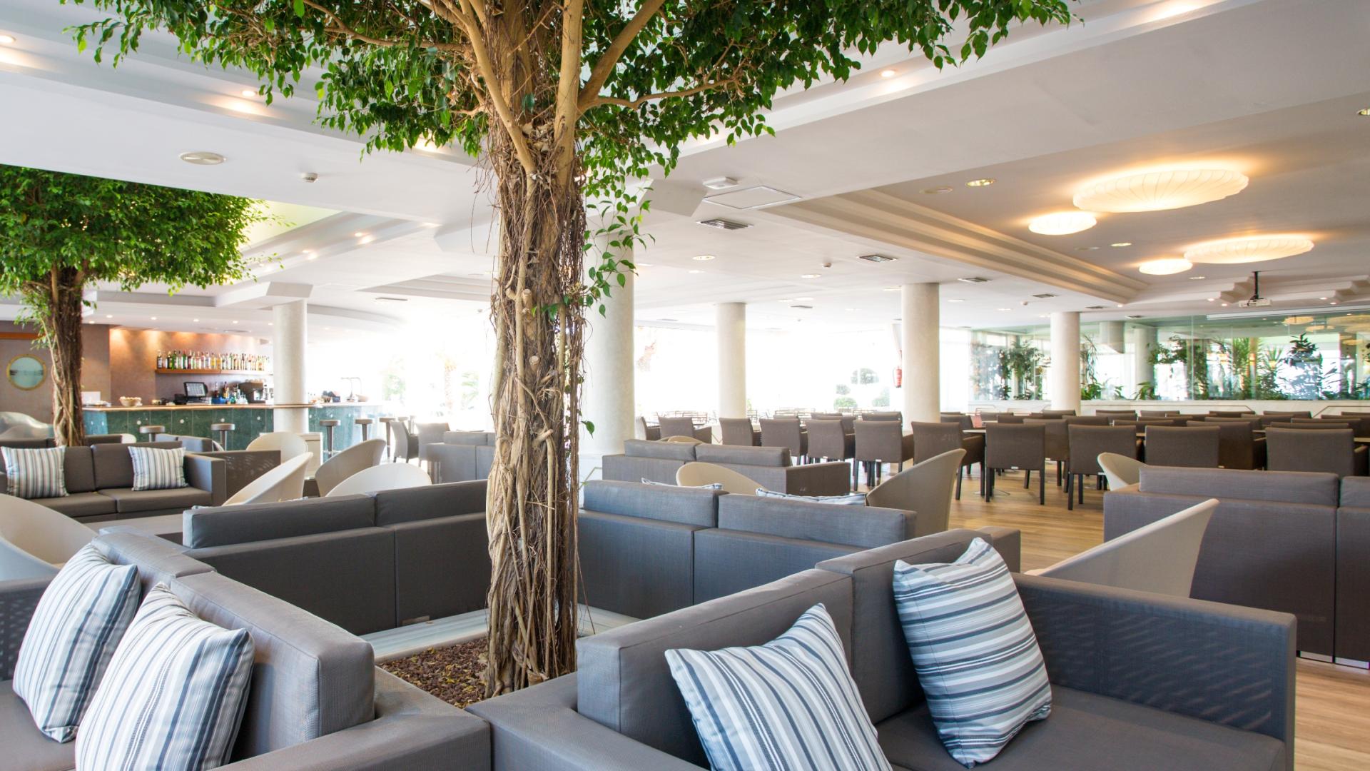 Insotel Hotel Formentera Playa foto 36