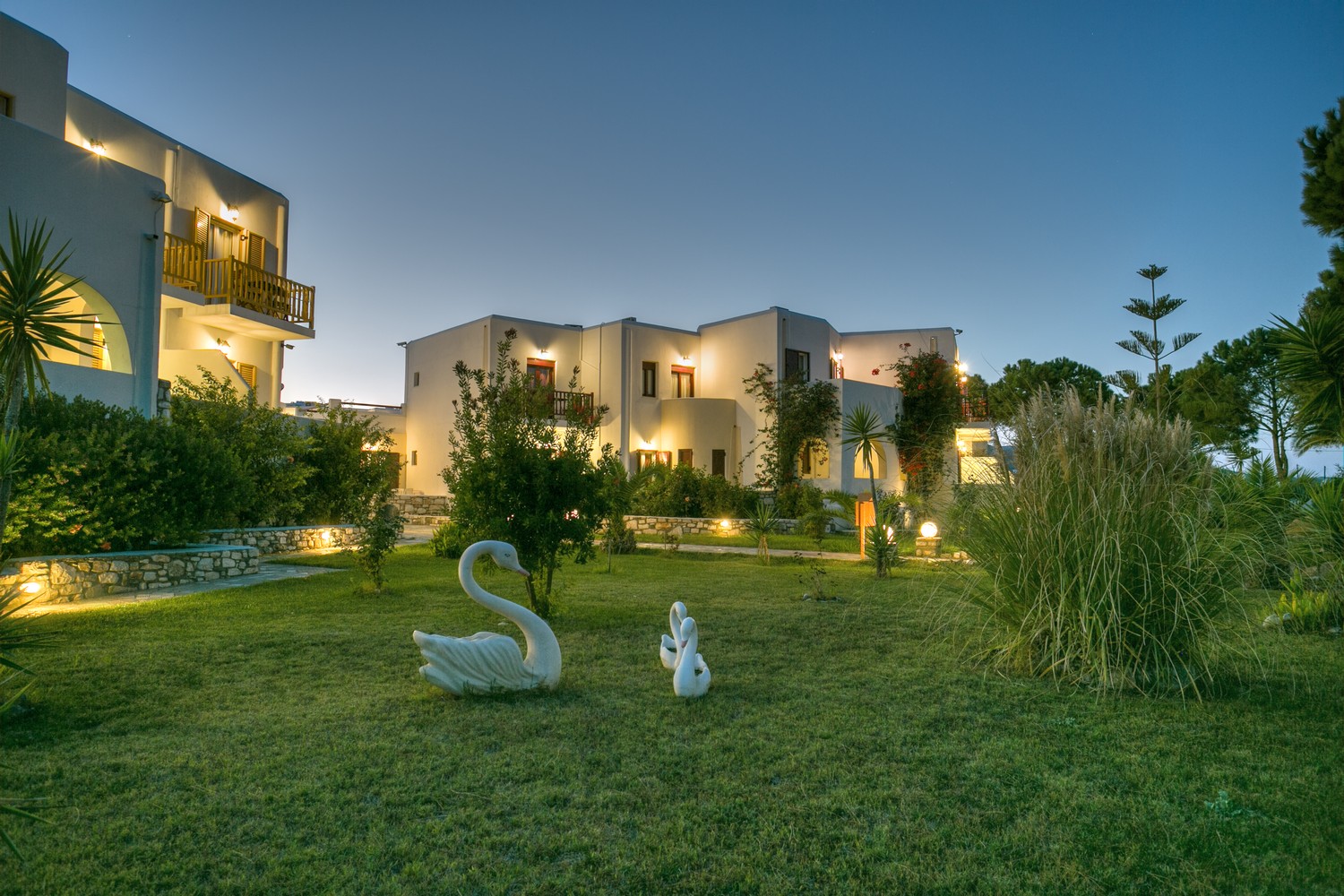 Asteras Paradise foto 39