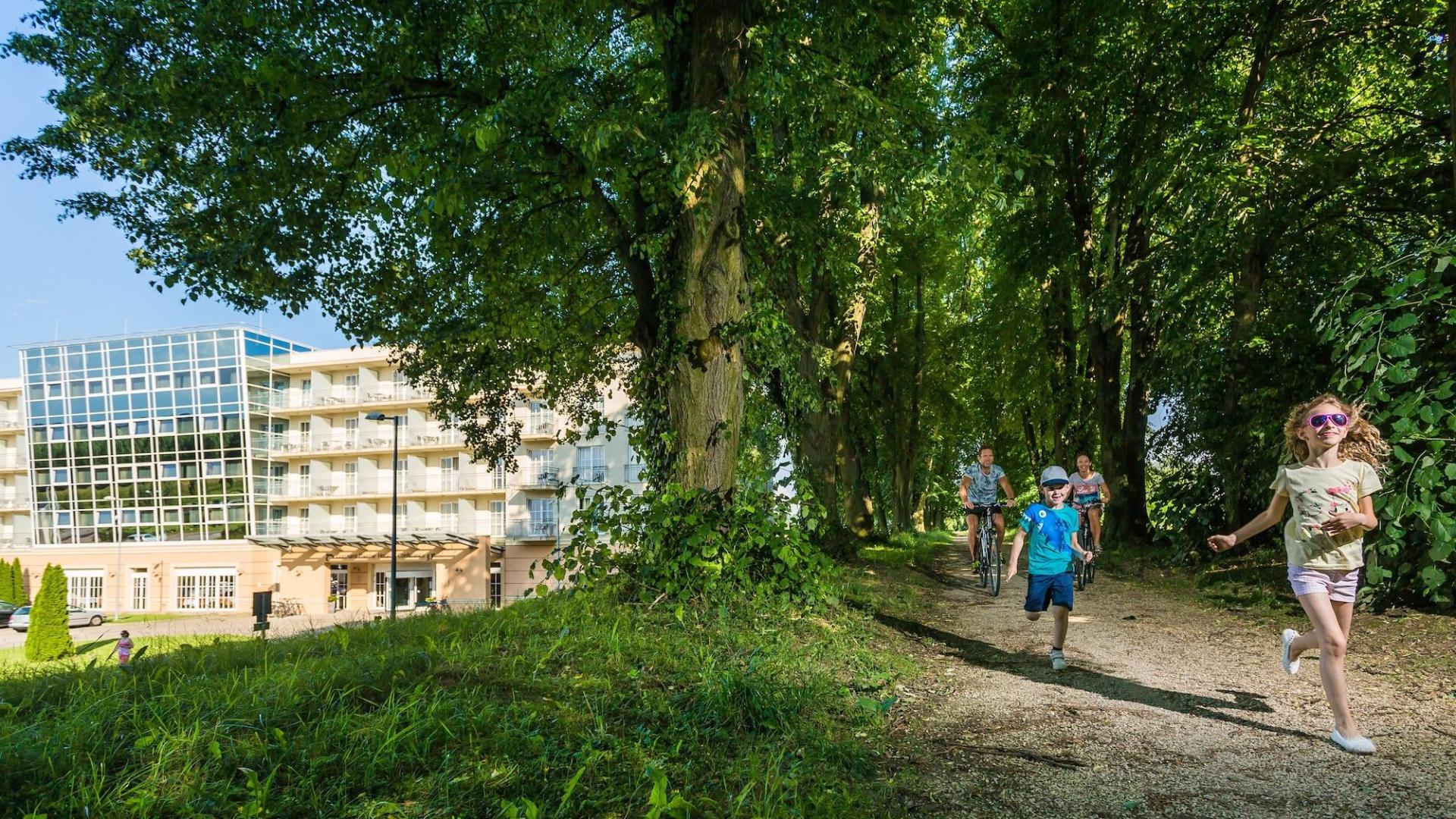 Gotthard Therme Hotel & Conference foto 34