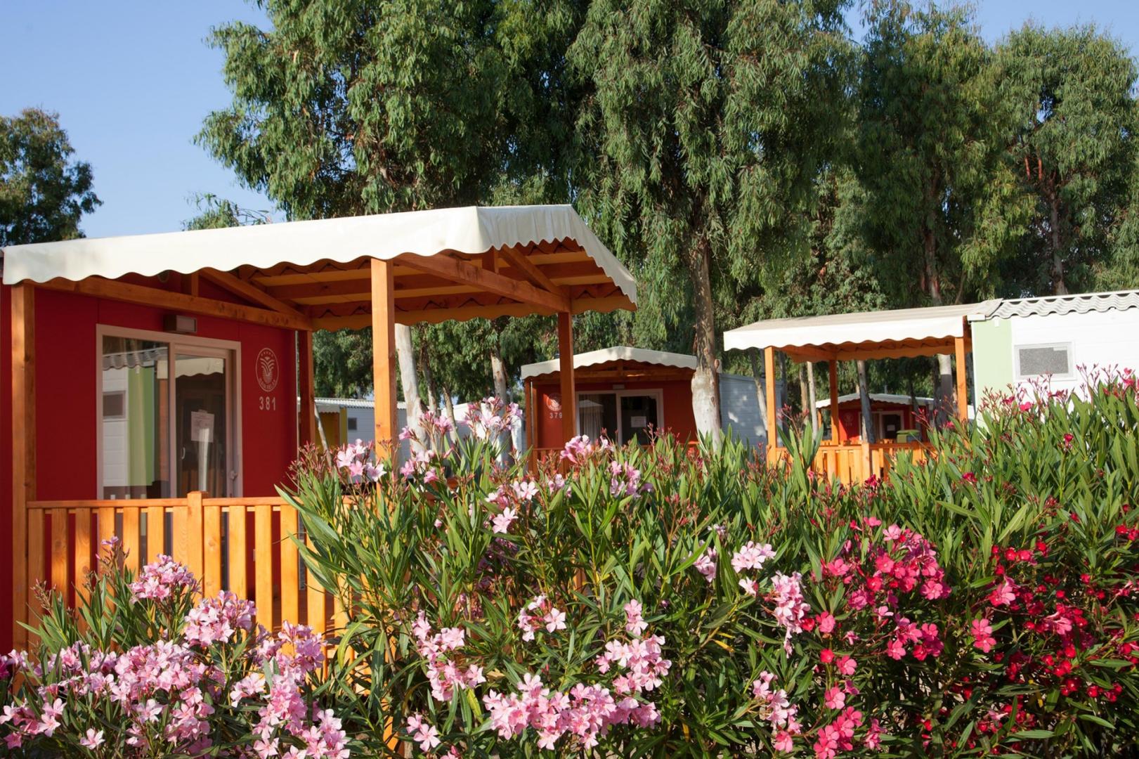 Tropische tuin met palmbomen — Camping Village Laguna Blu