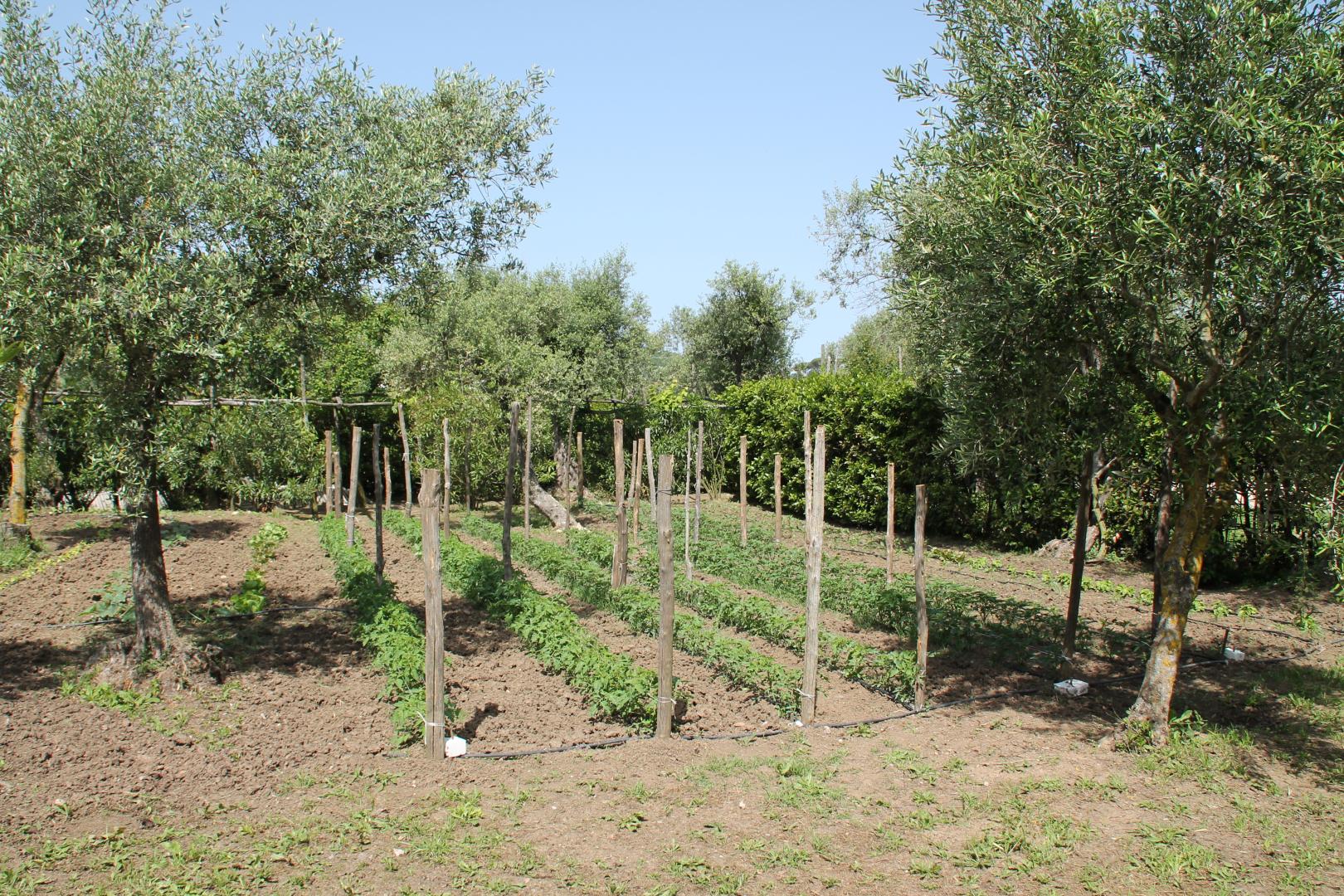 Agriturismo Piccolo Paradiso foto 41