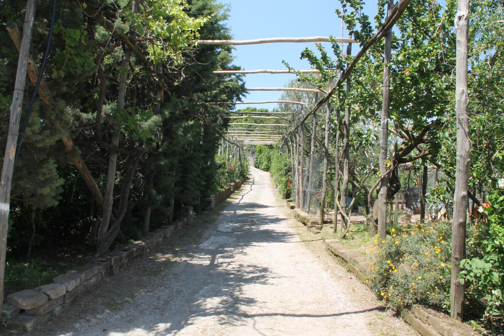 Agriturismo Piccolo Paradiso foto 11