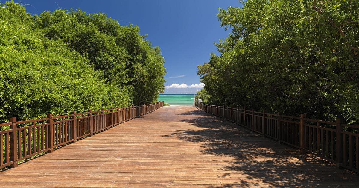 Paradisus Playa del Carmen - Riviera Maya foto 43