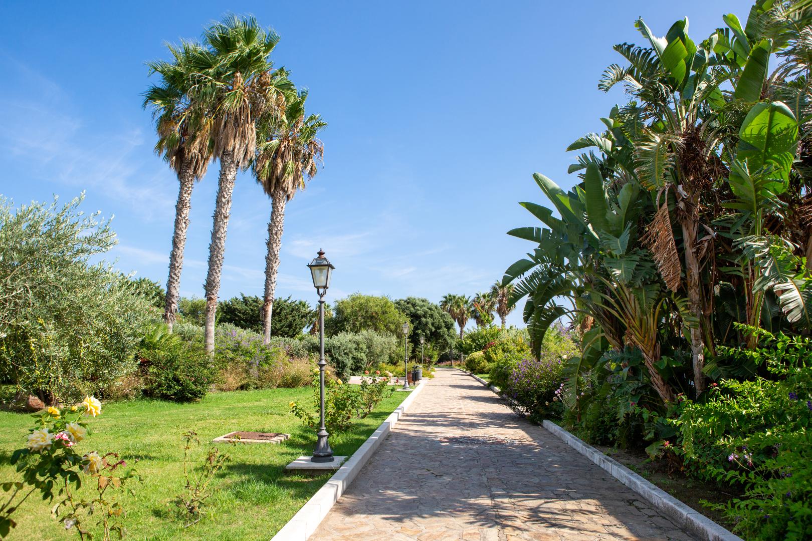 Tropische tuin met palmbomen — Club Hotel Marina Beach