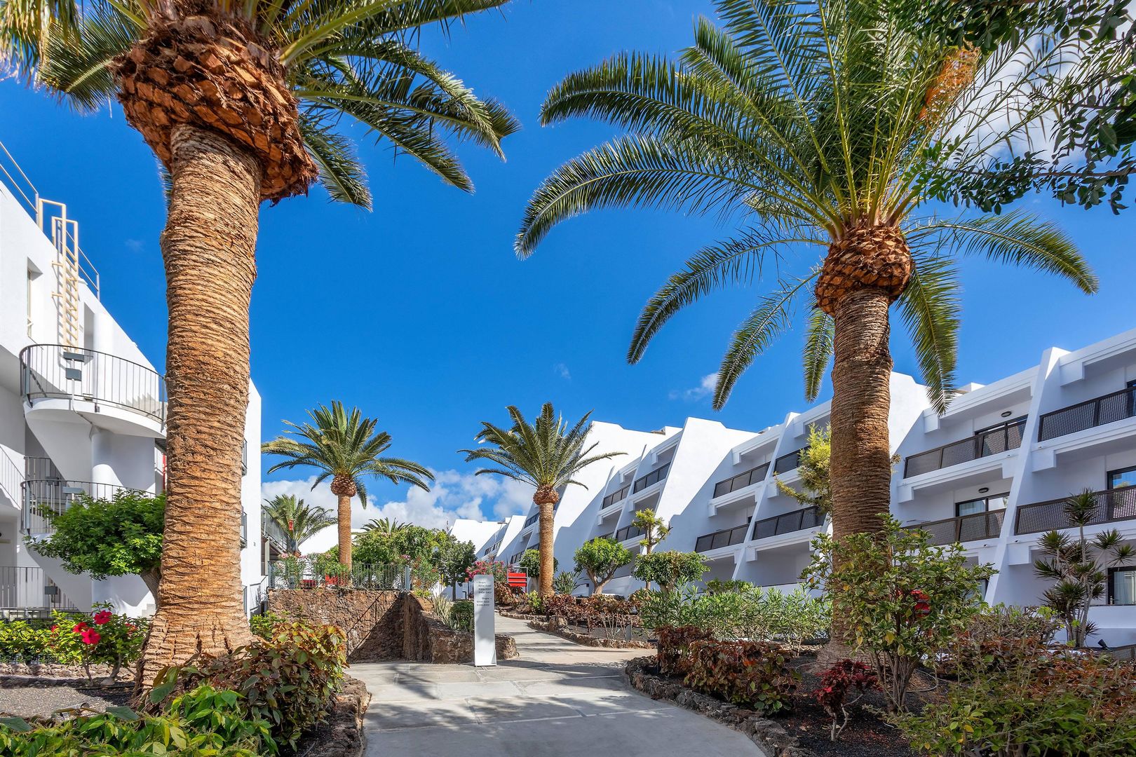 Sol Fuerteventura Jandia - All Suites foto 7