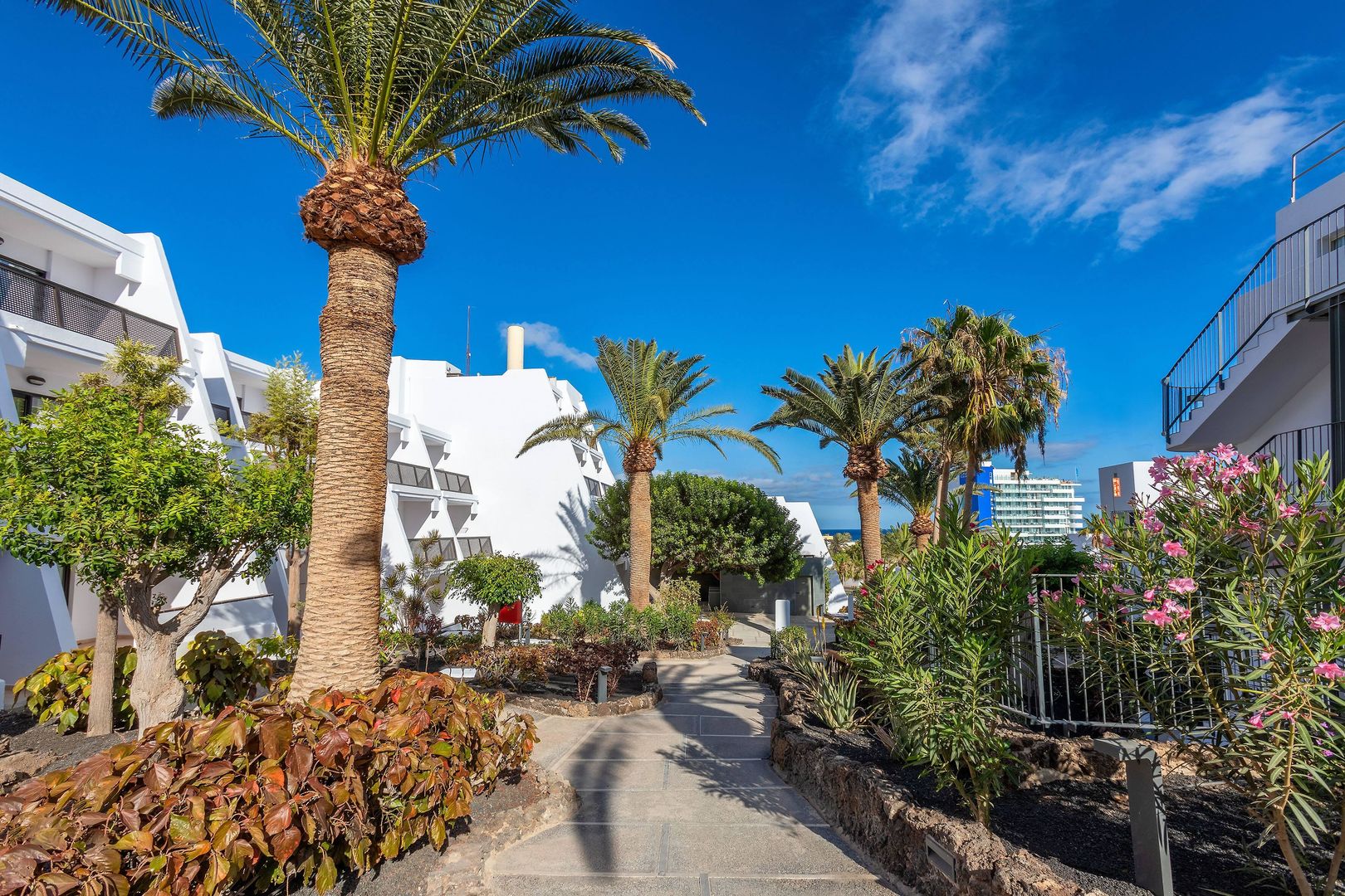Sol Fuerteventura Jandia - All Suites foto 8