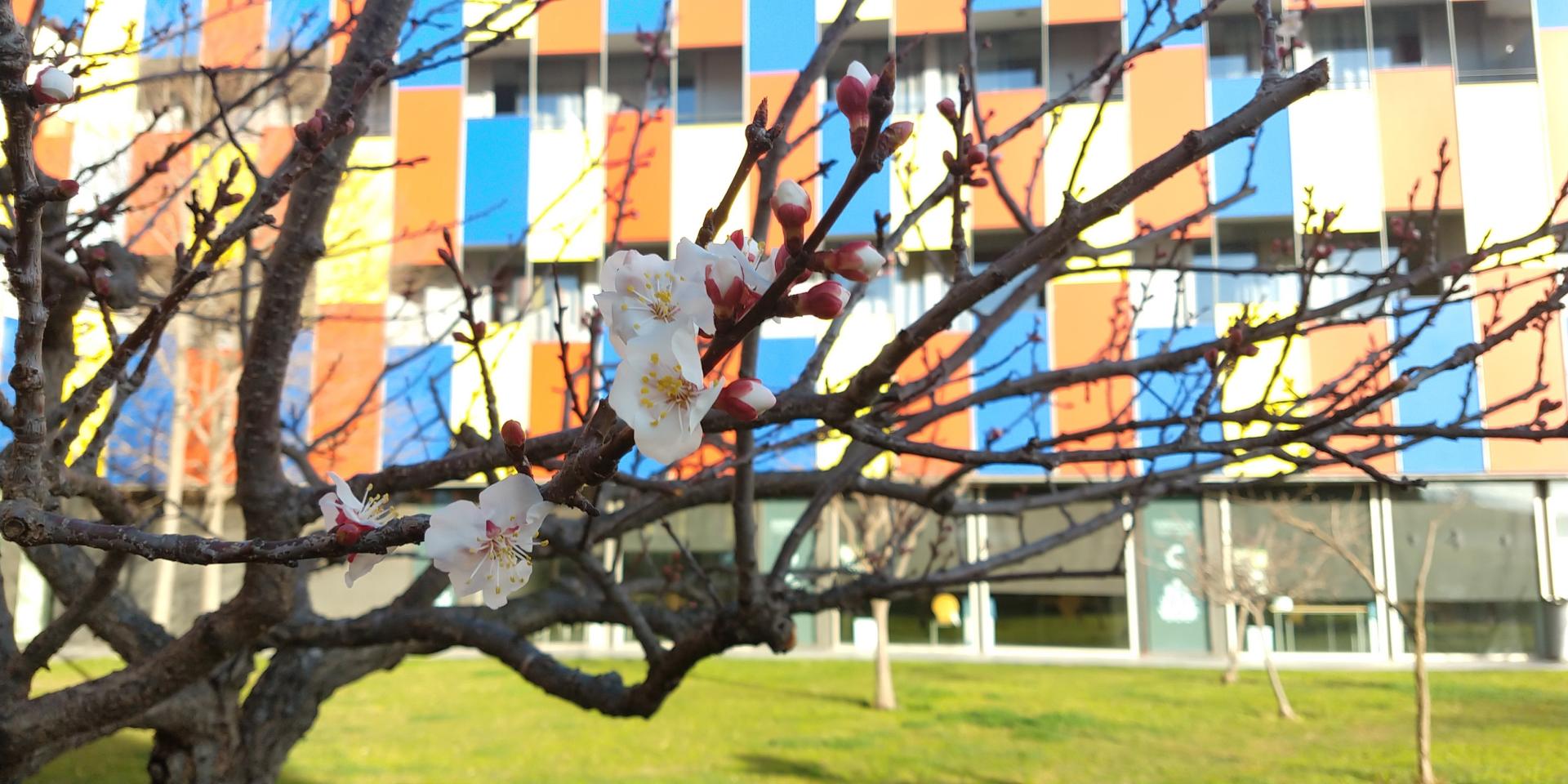 Centre Esplai Hostel foto 25