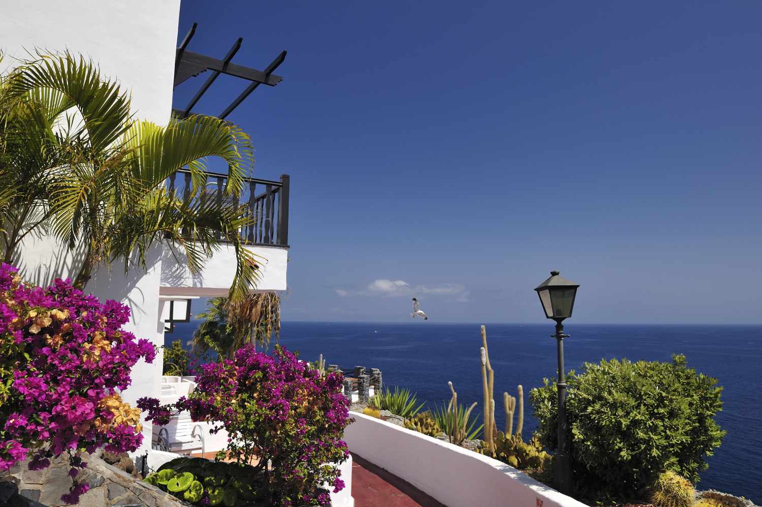 Hotel Jardin Tecina foto 36