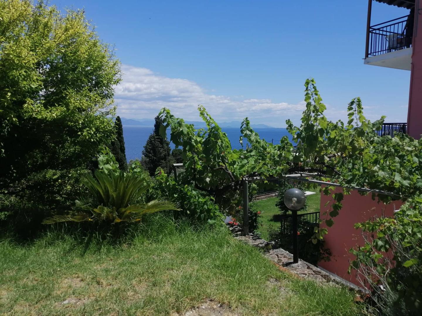Aronis Apartments foto 34