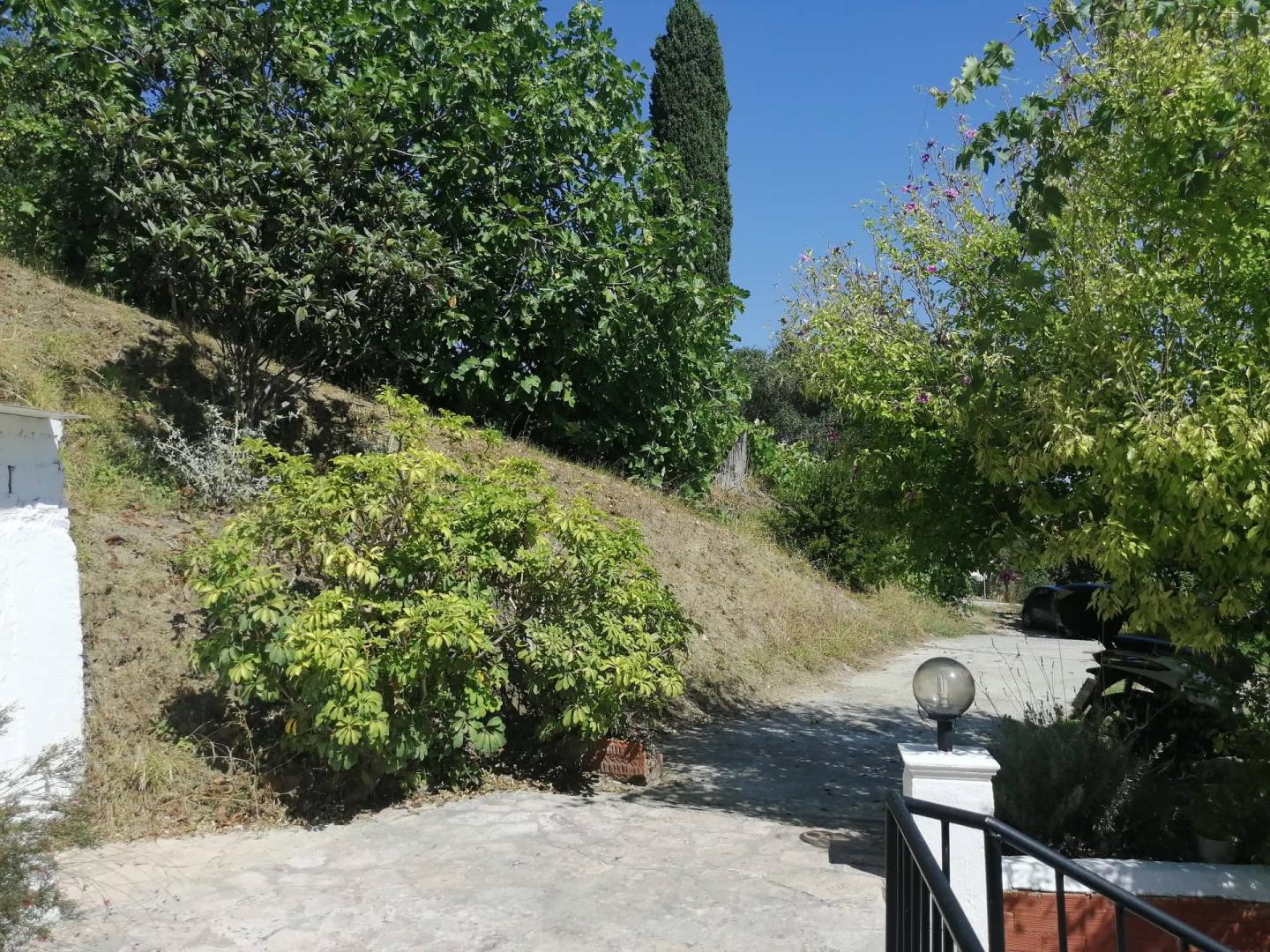 Aronis Apartments foto 36