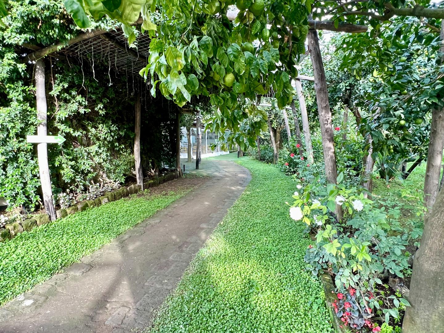 Relais Correale Sorrento foto 16