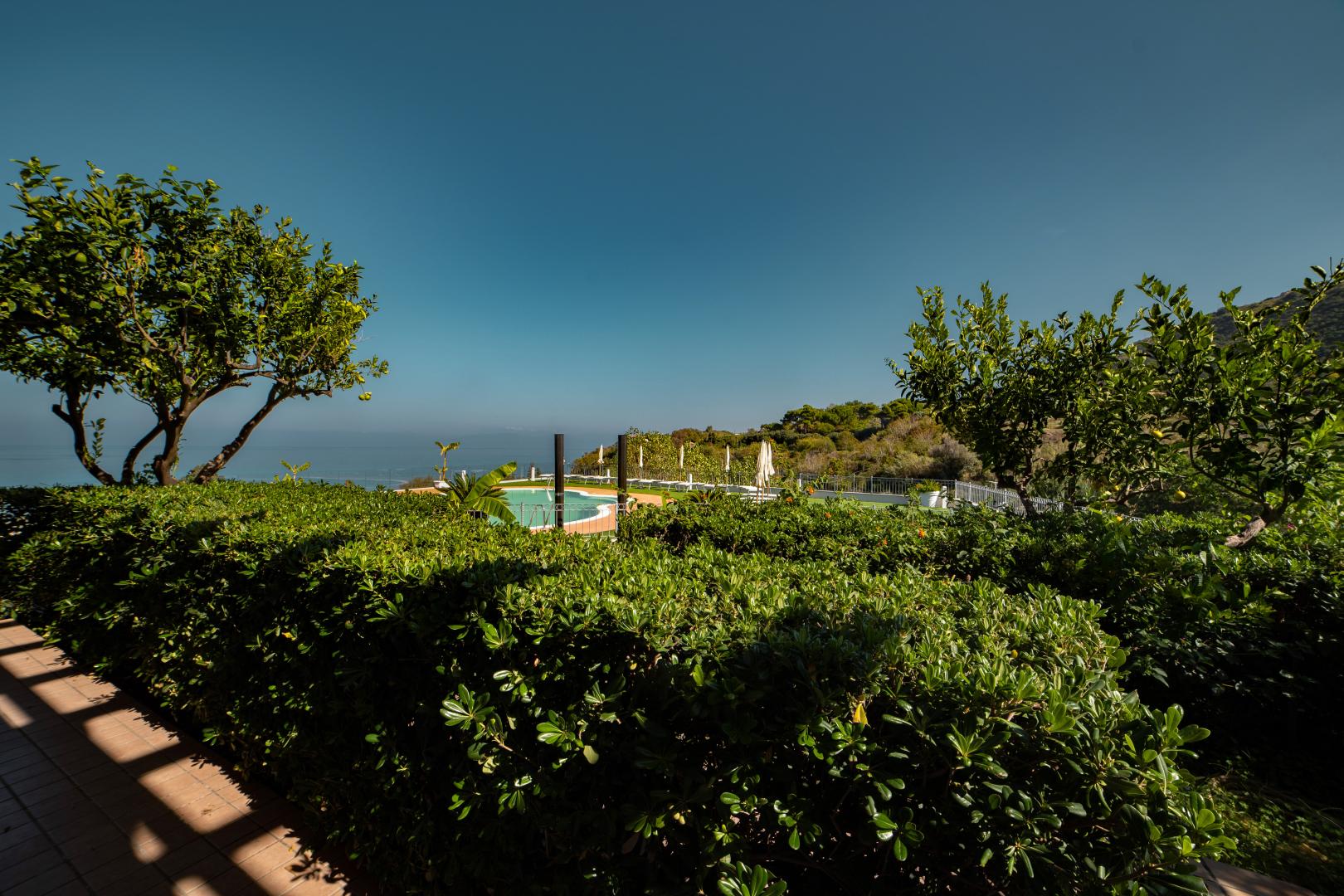 New Paradise Residence image 1