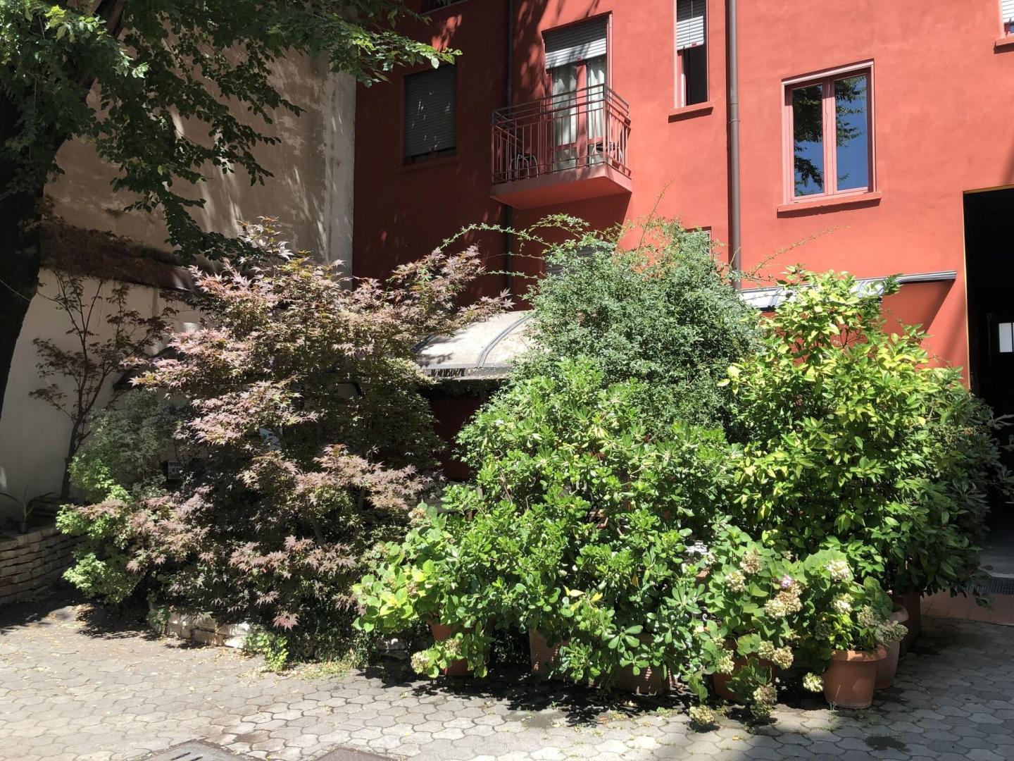 Il Girasole foto 26