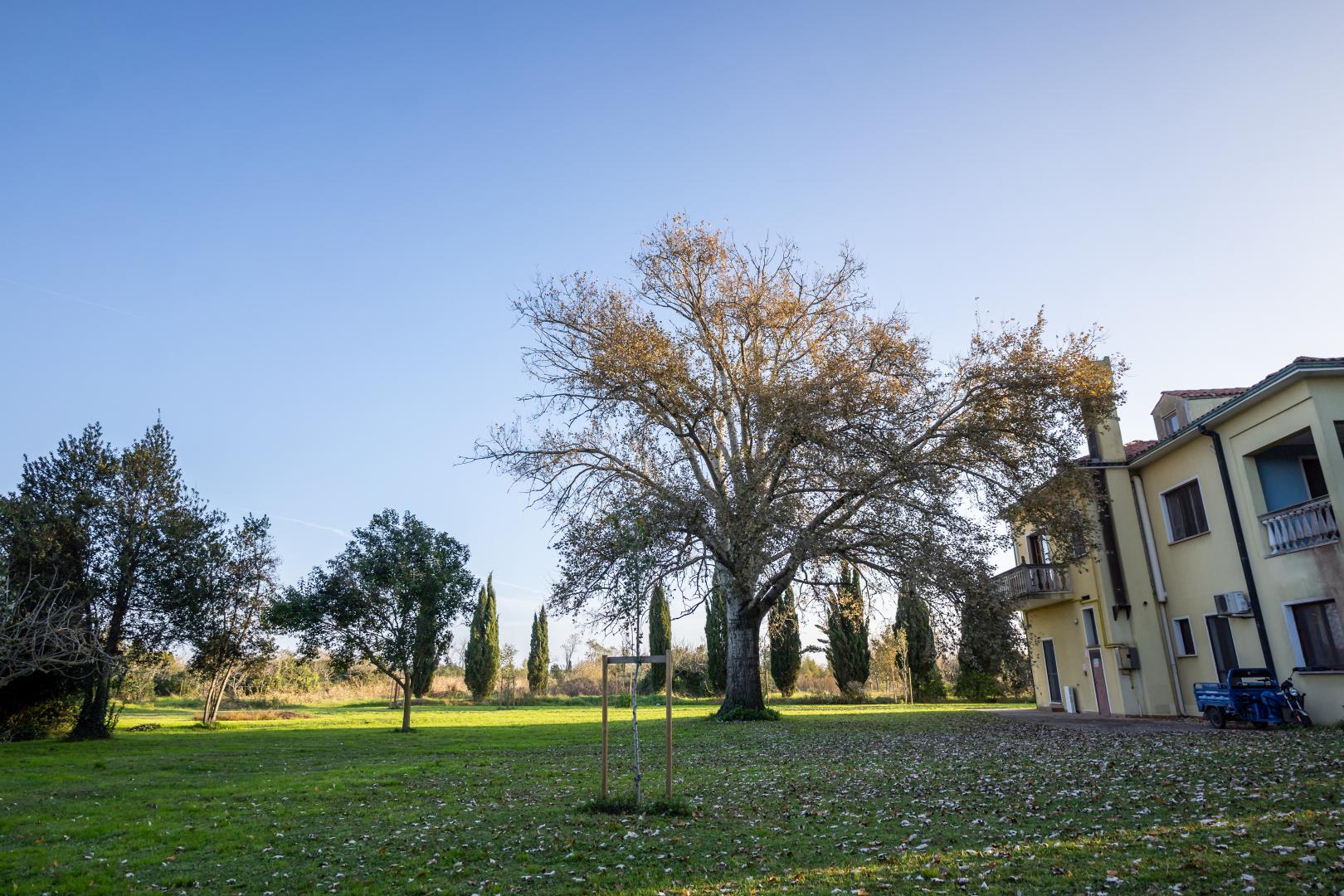 Lato Azzurro foto 24