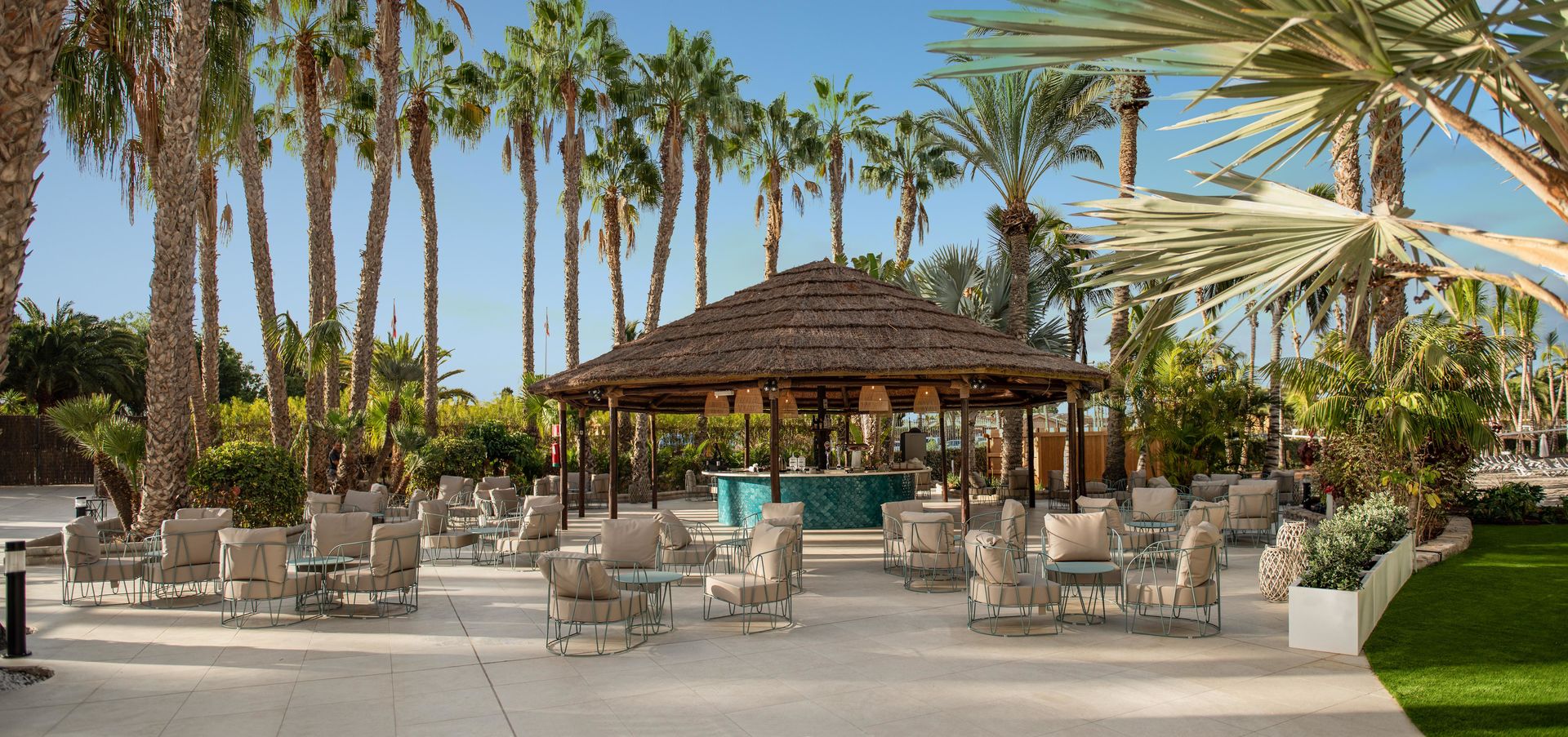 Tabaiba Princess image 3