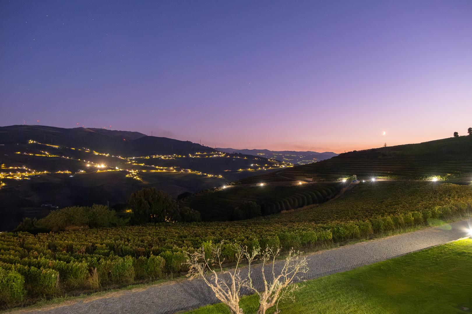 Hotel Douro Scala foto 21