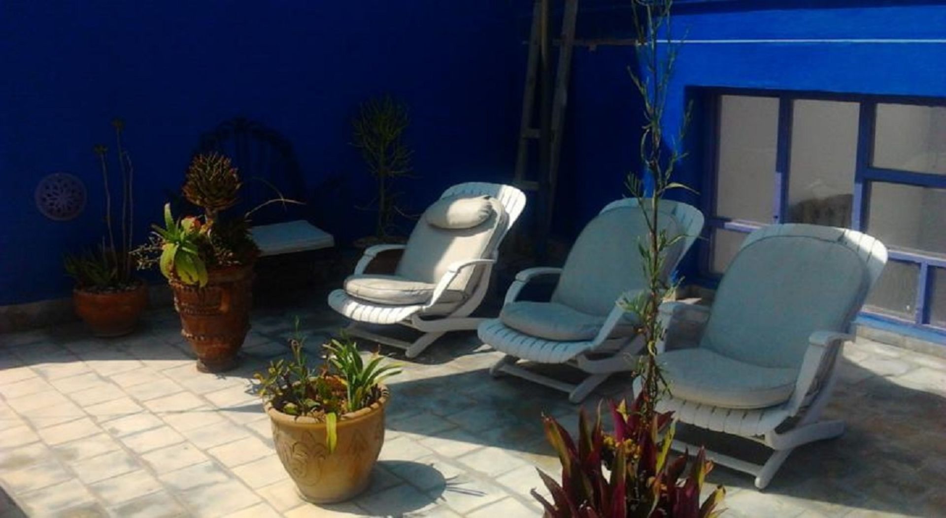Darzayna foto 14