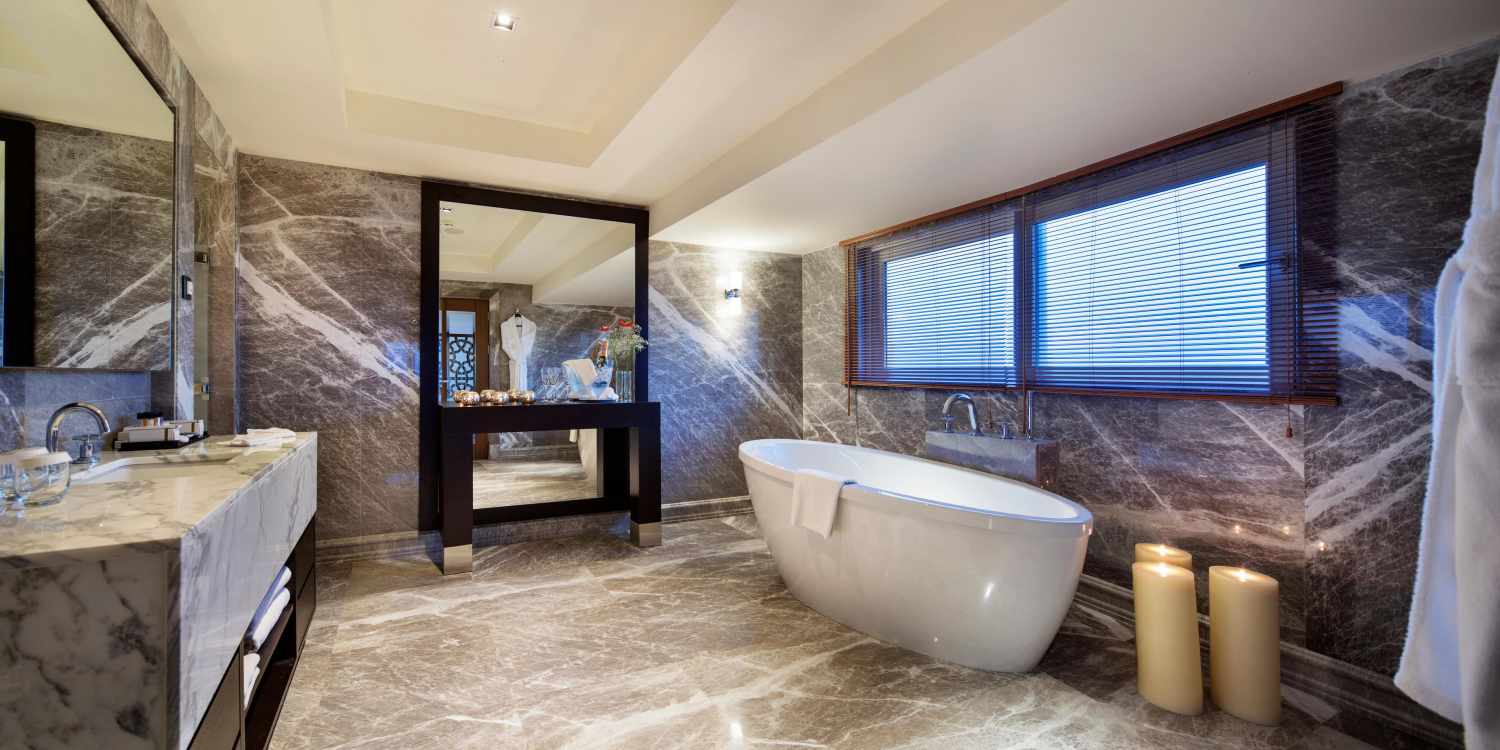 Papillon Ayscha image 2