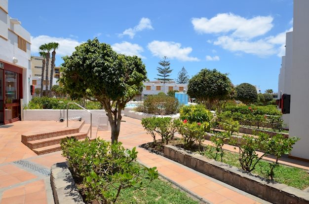 eó Las Rosas foto 4