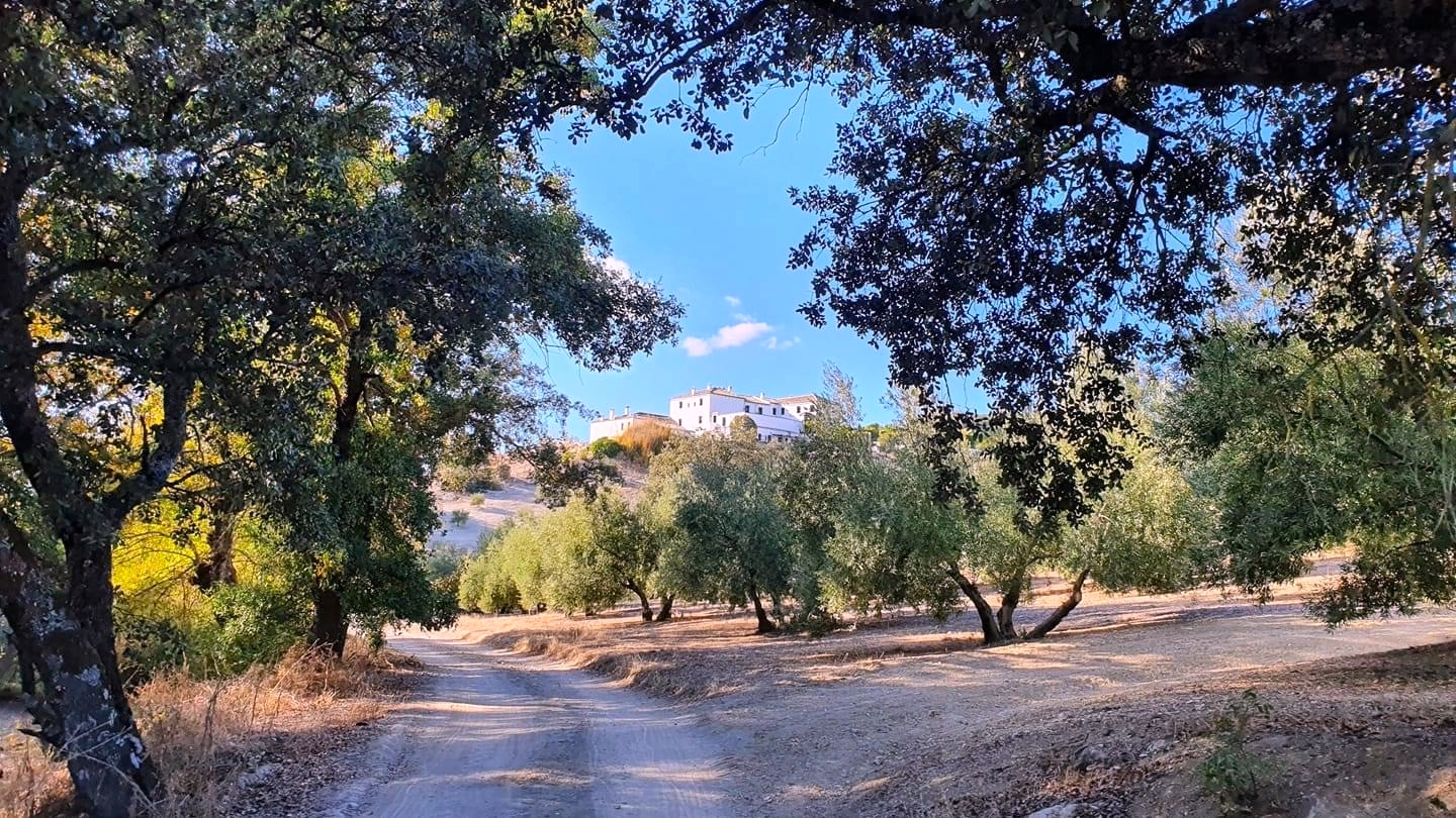 Cortijo La Presa foto 7