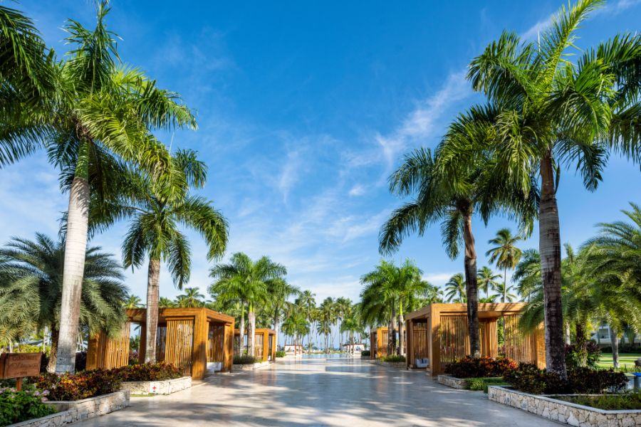 Viva V Samana by Wyndham, A Trademark Adults All Inclusive foto 10