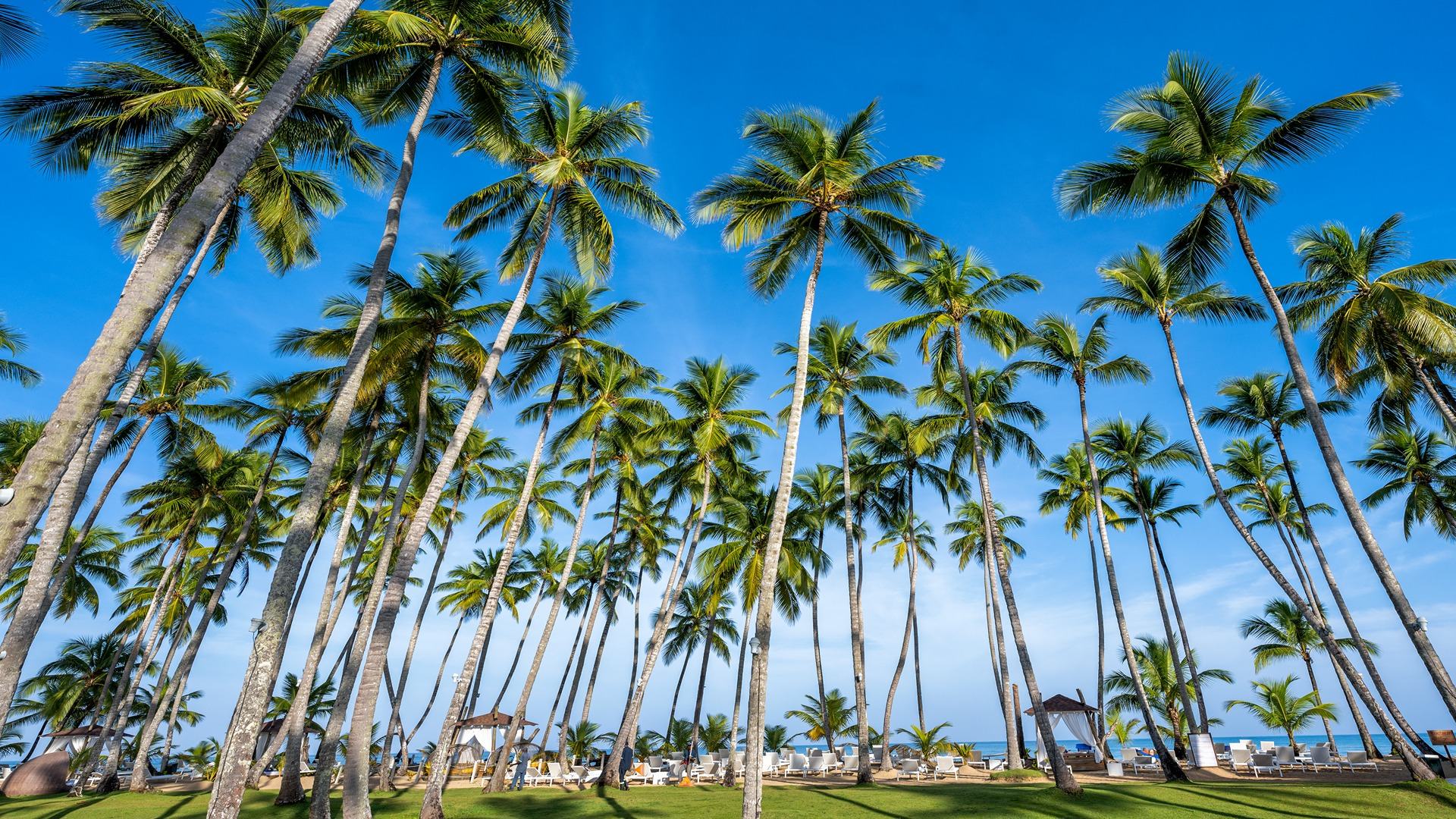 Viva V Samana by Wyndham, A Trademark Adults All Inclusive foto 11